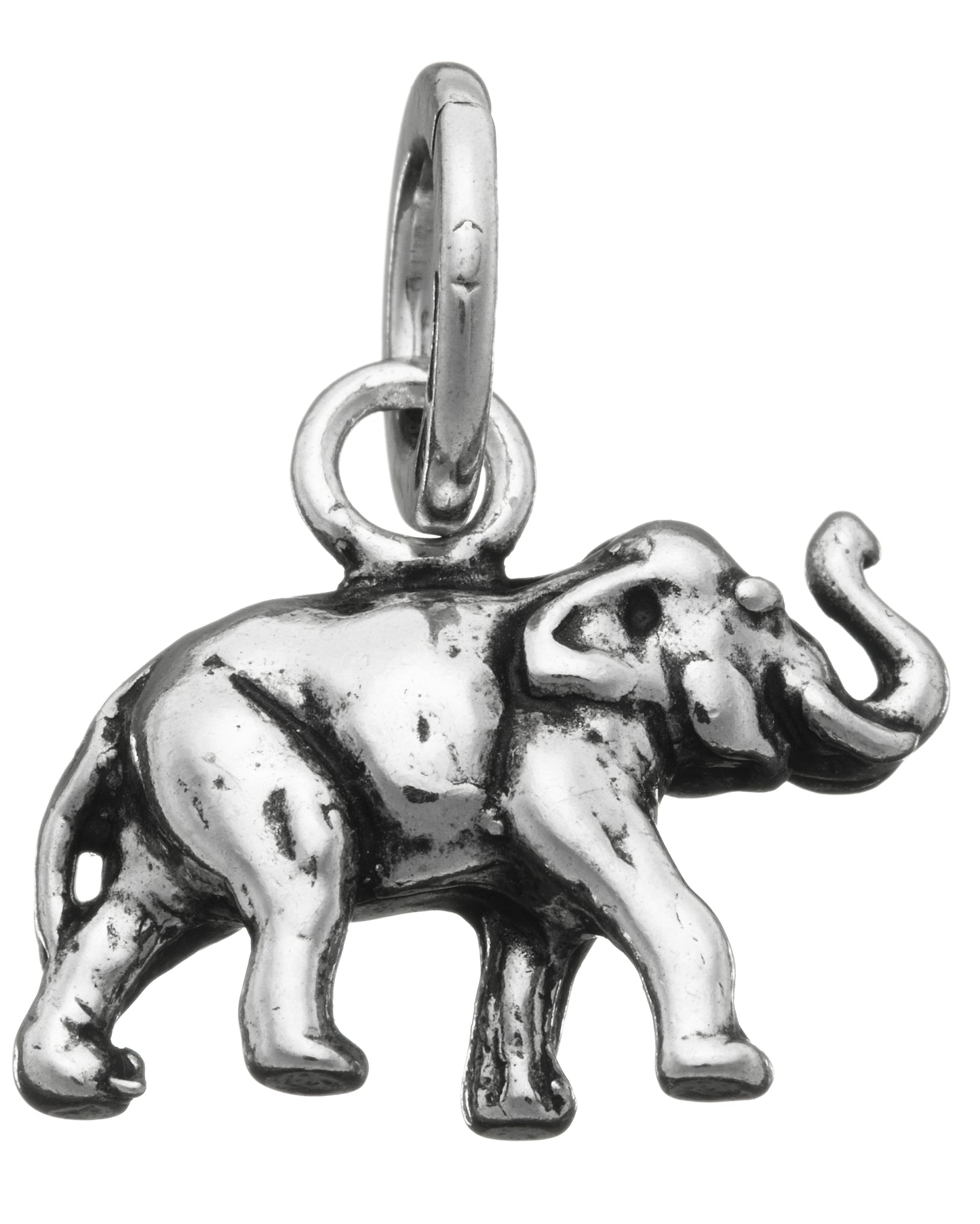 CHARM ELEFANTE