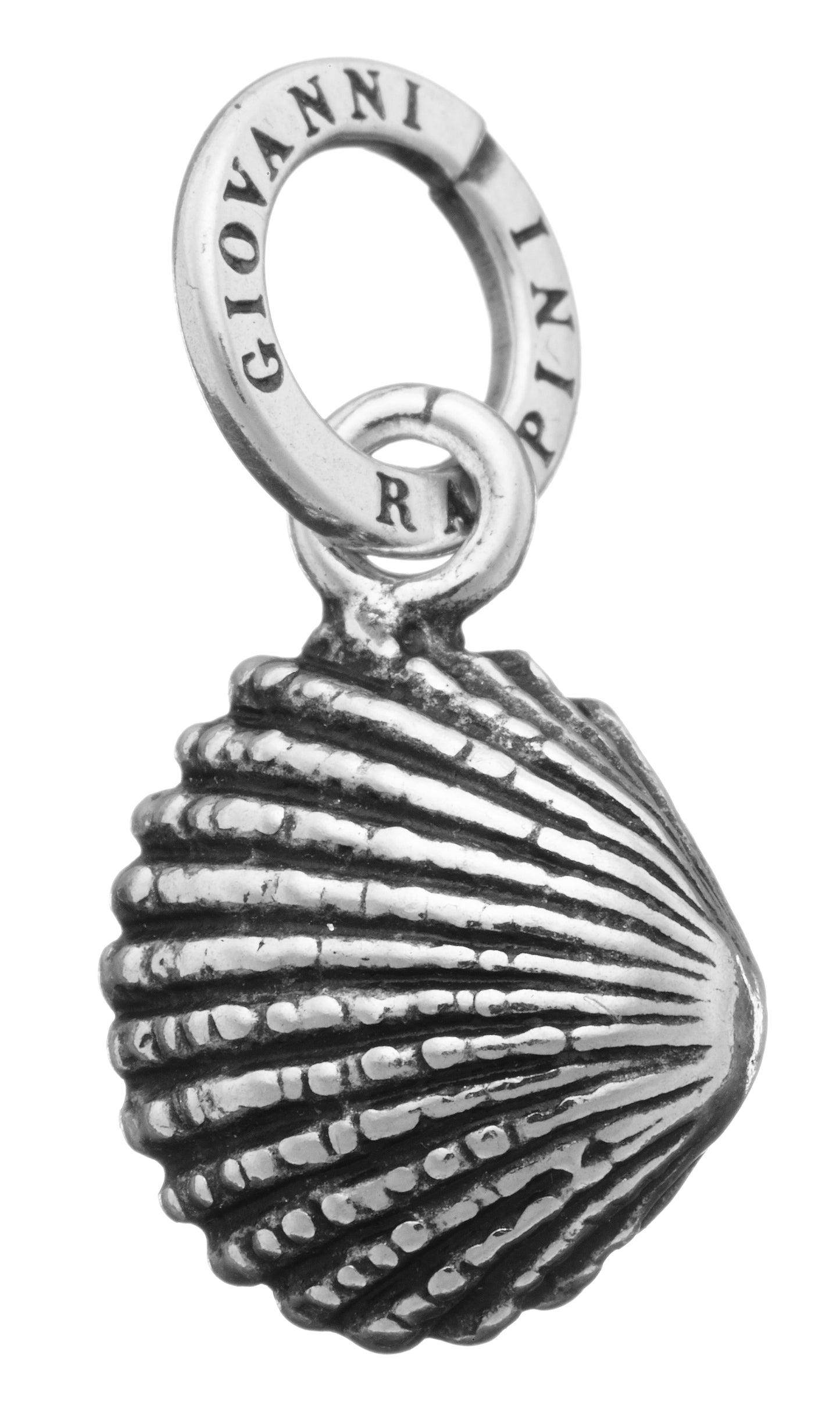 CHARM CONCHIGLIA