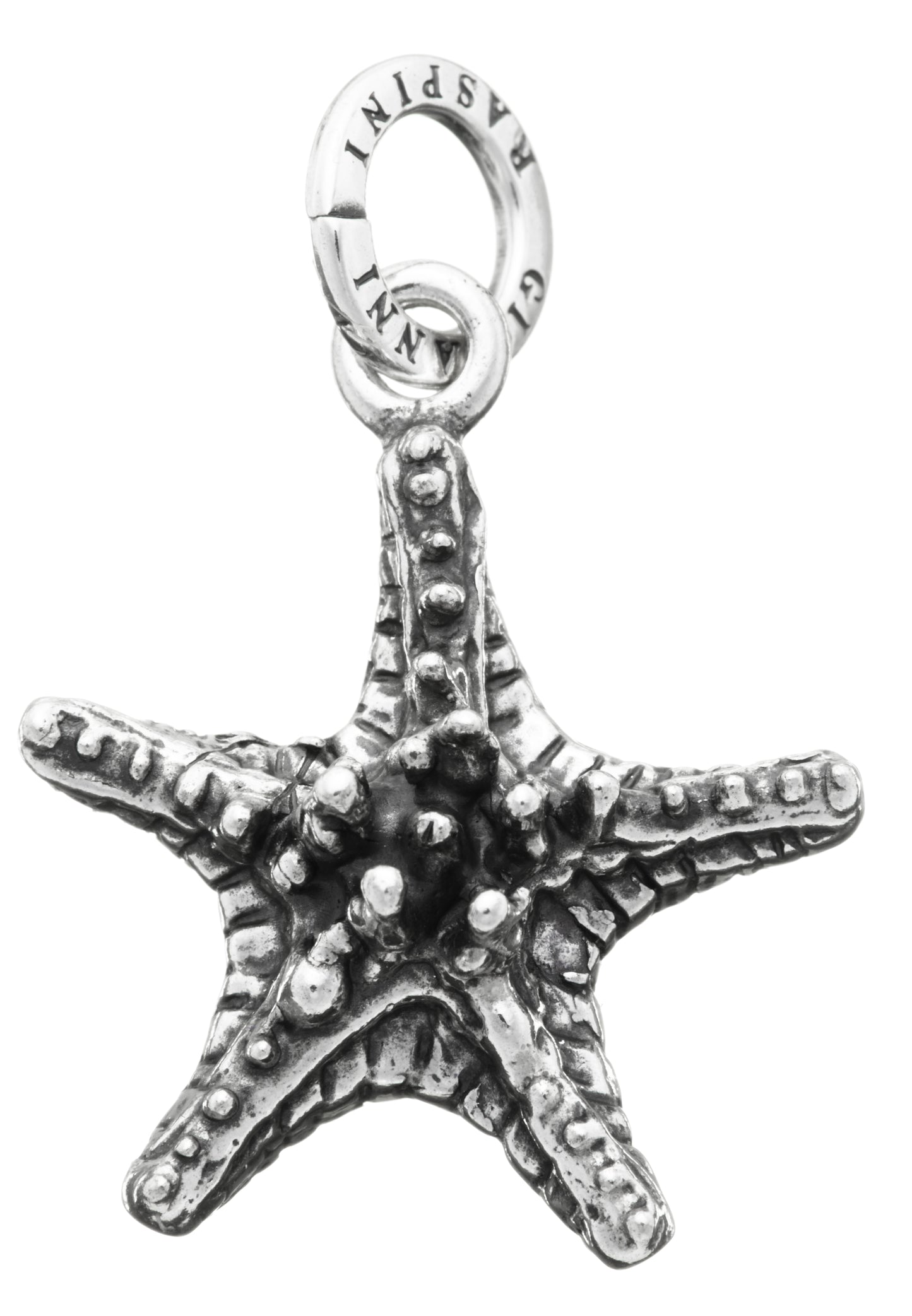 CHARM STELLA GRASSA