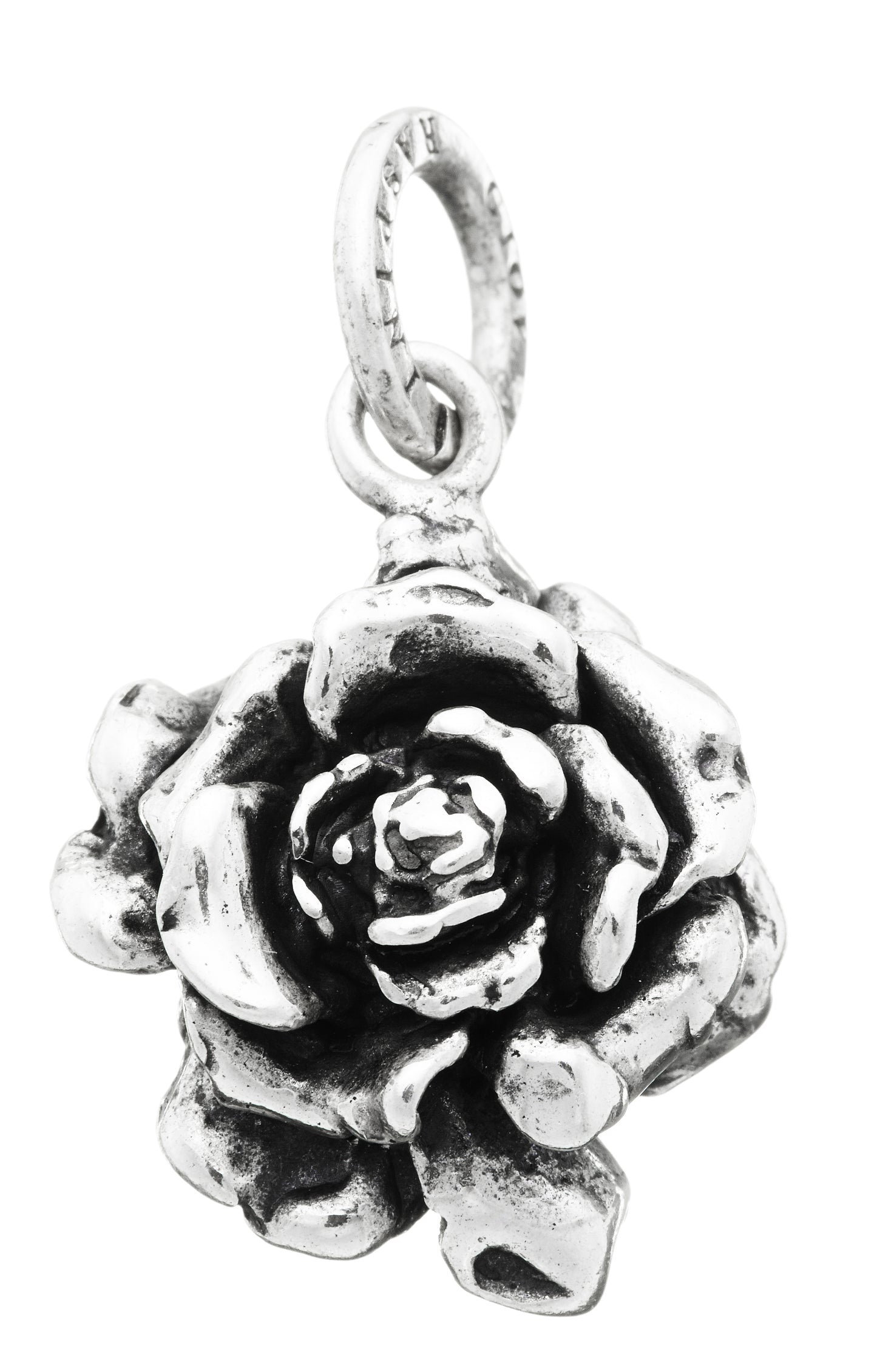 CHARM ROSA