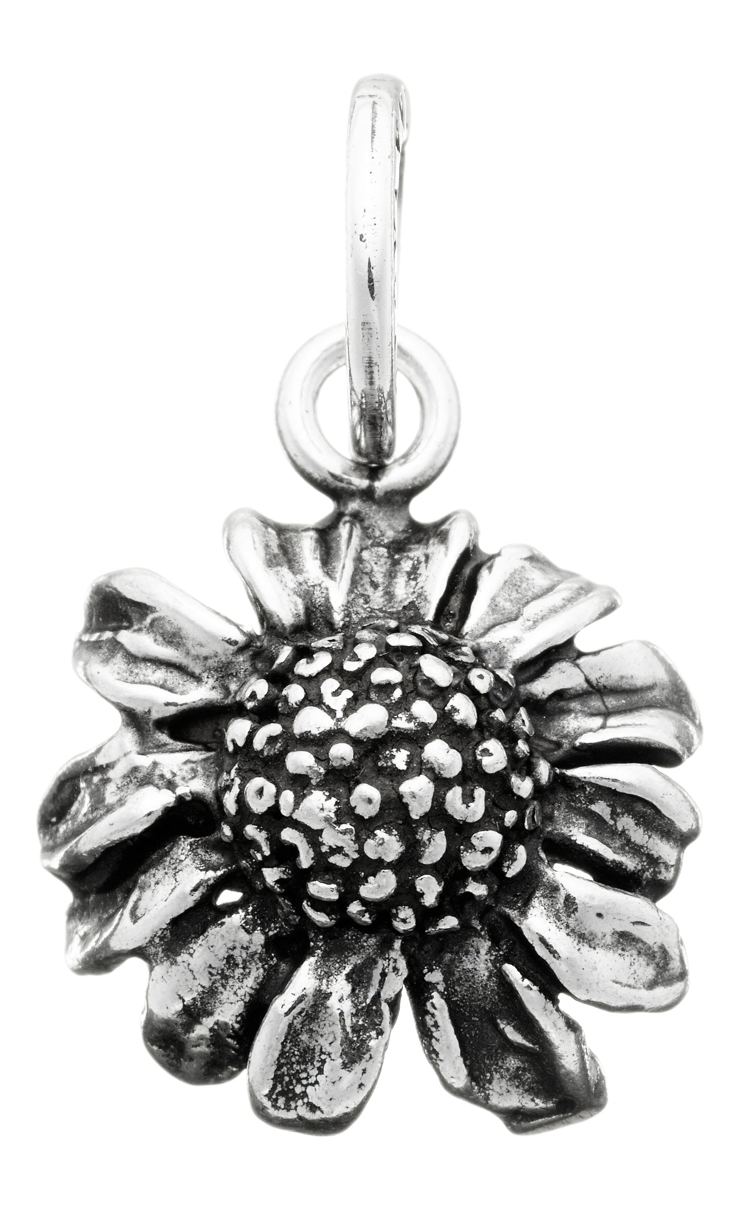 CHARM CAMOMILLA