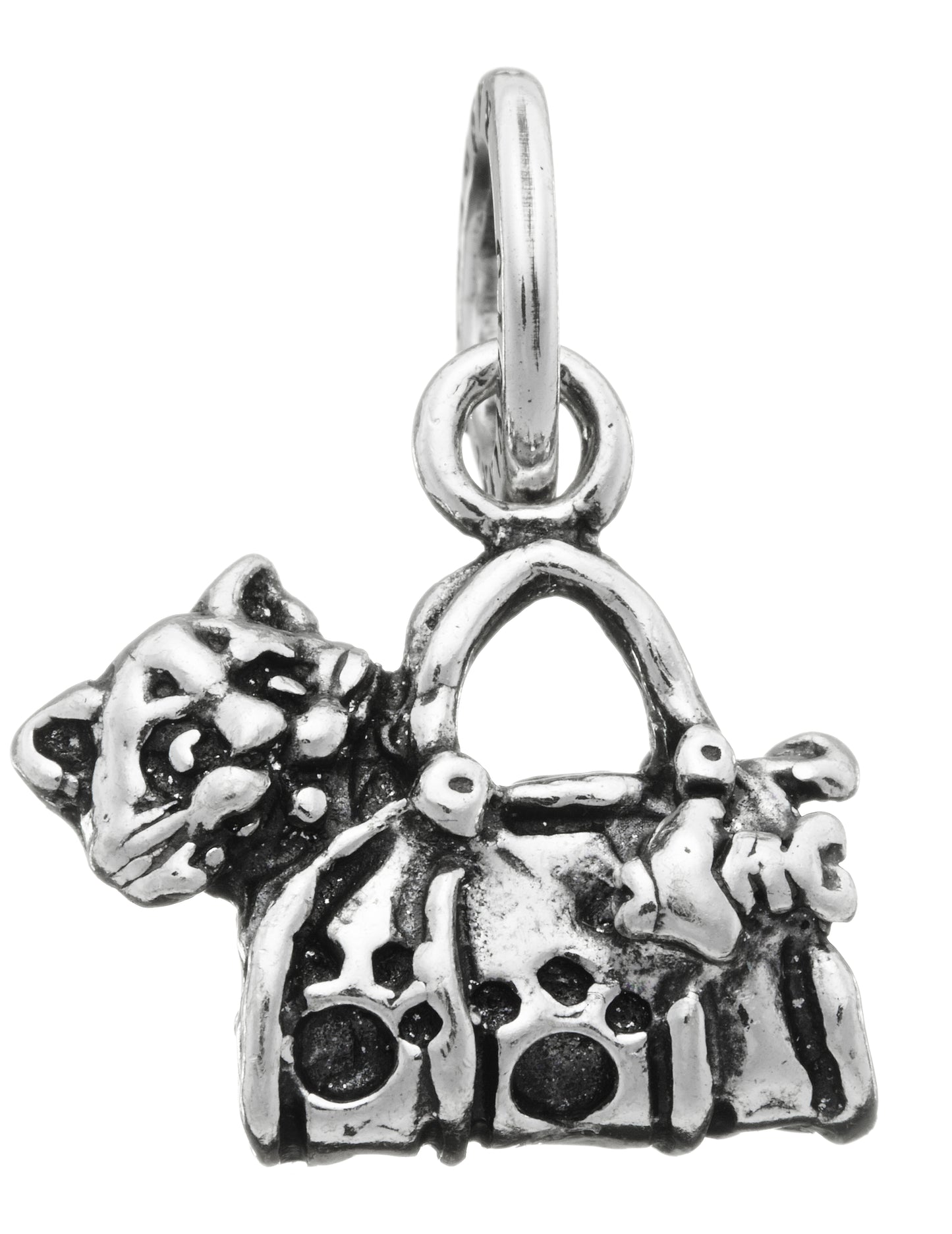 CHARM GATTO IN BORSA