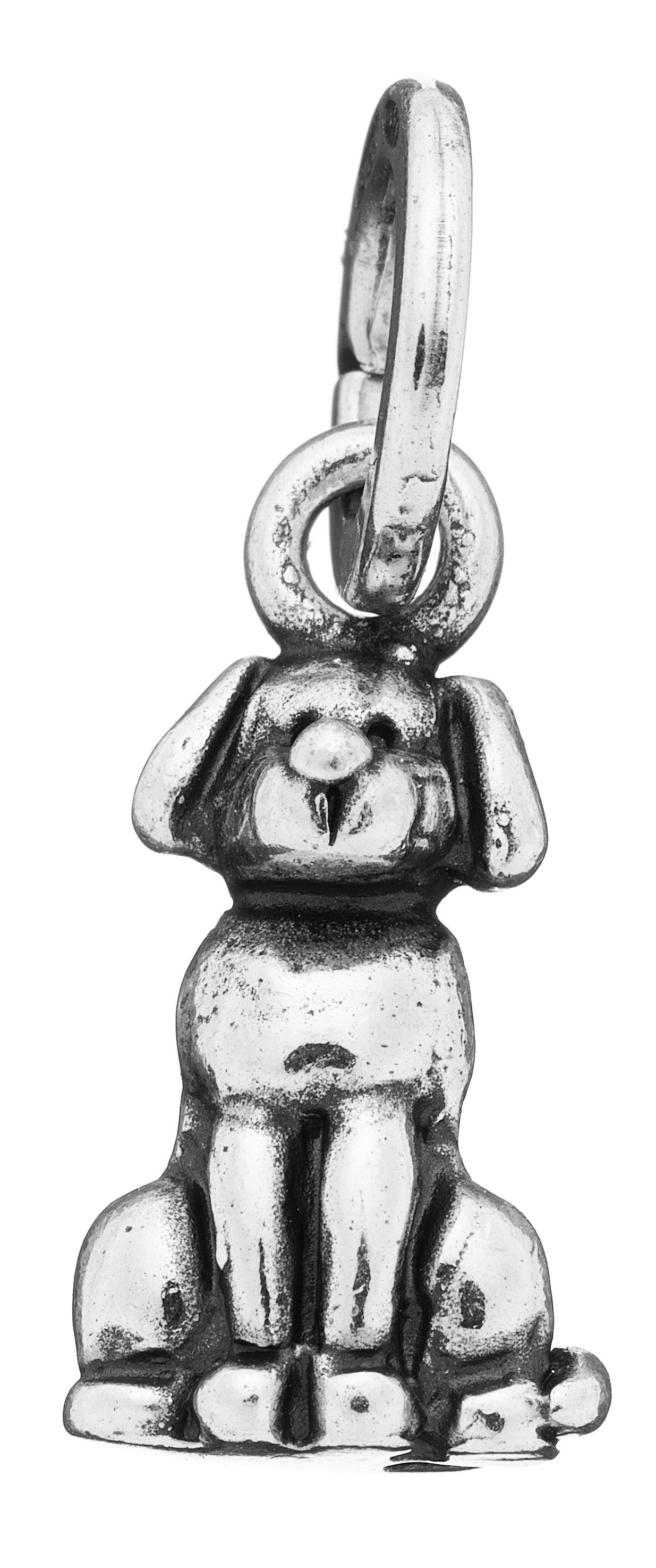 CHARM FIDO
