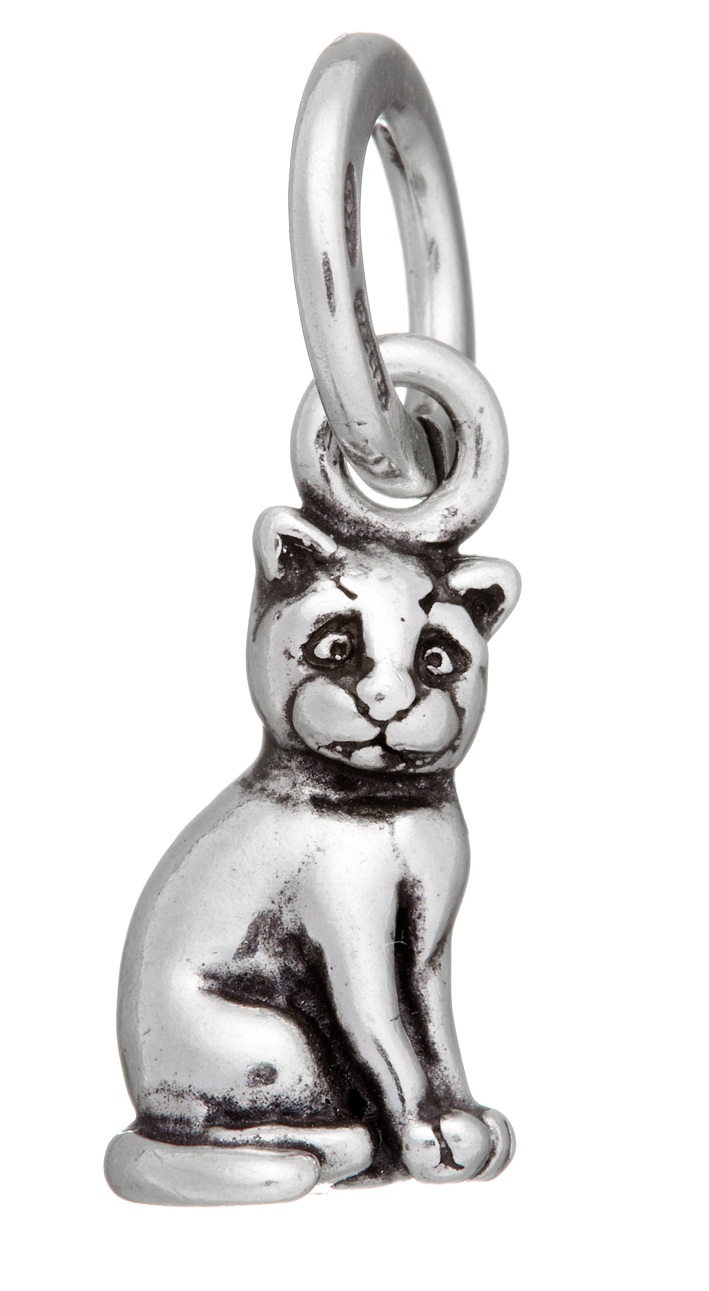 CHARM GATTO