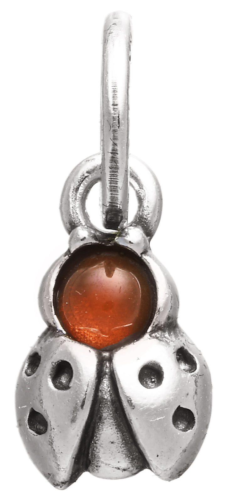 CHARM COCCINELLA COLOR
