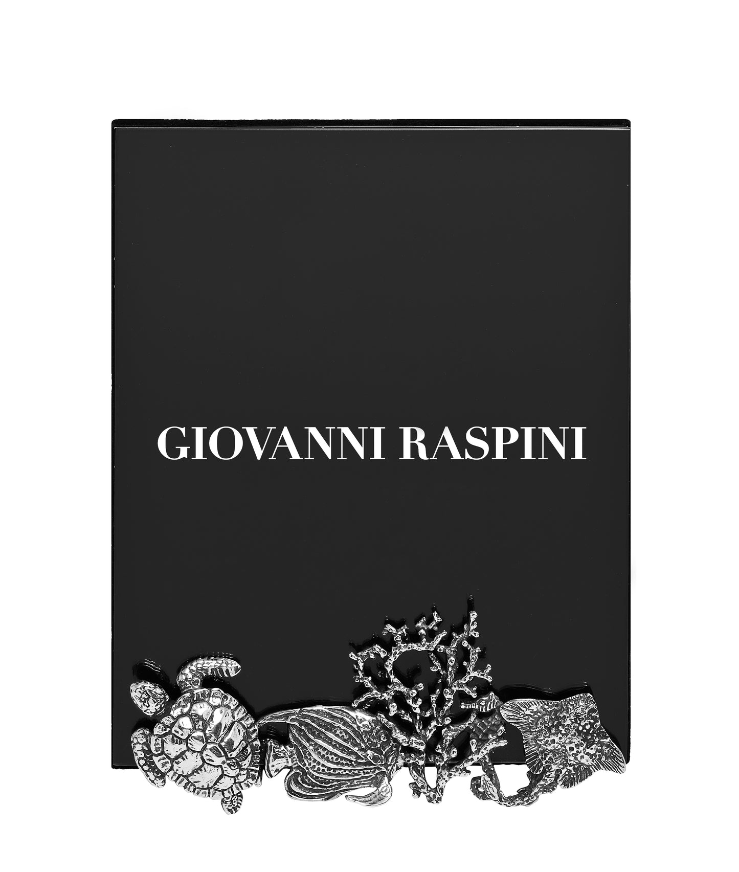CORNICE MARE PICCOLA, foto cm 12x15 - Giovanni Raspini - B0357