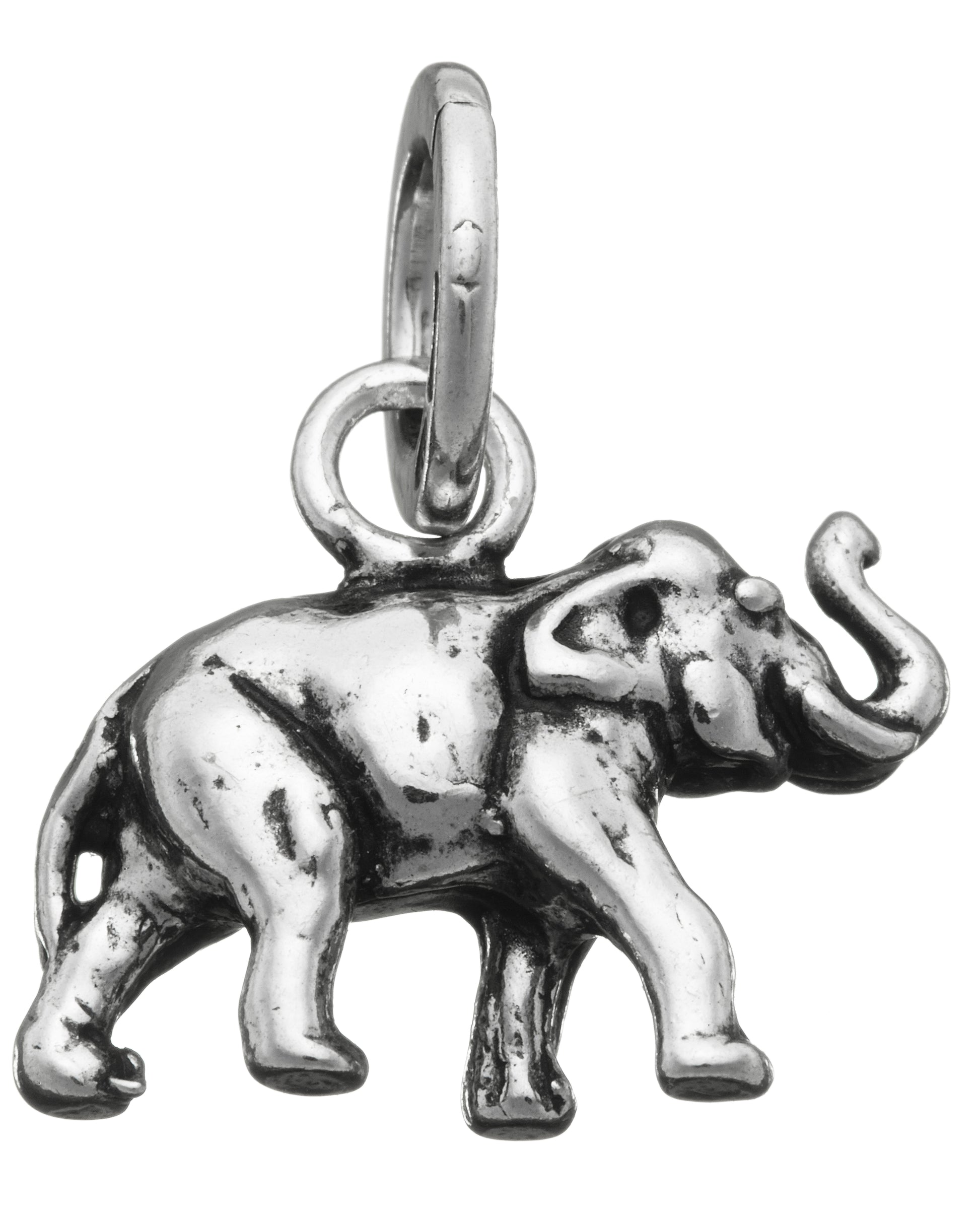 CHARM ELEFANTE