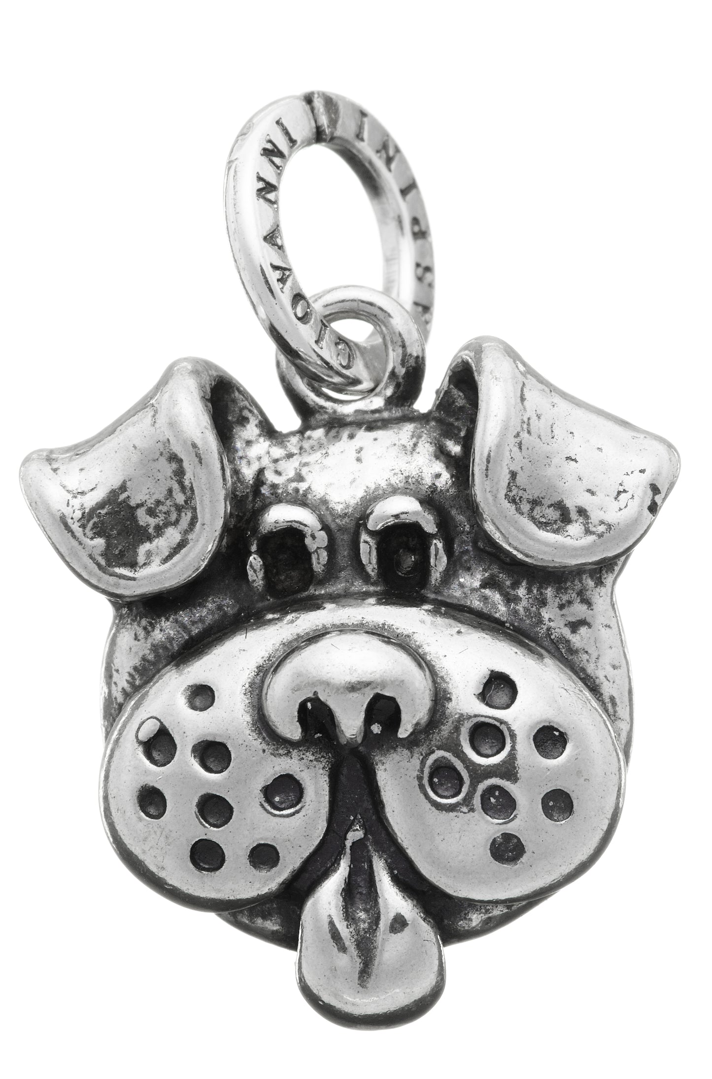 CHARM DOG
