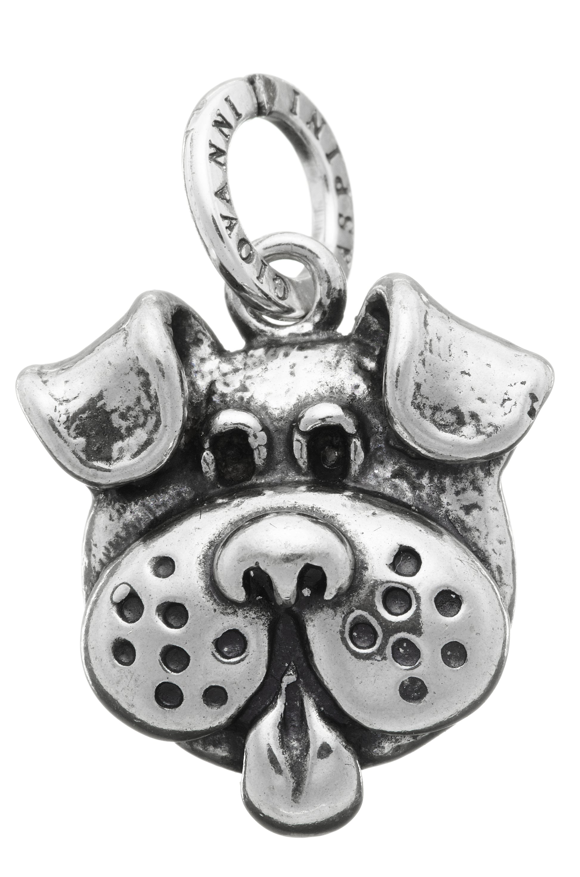 CHARM DOG