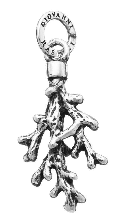 CHARM CORALLO