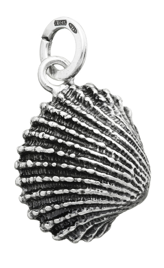 CHARM CONCHIGLIA
