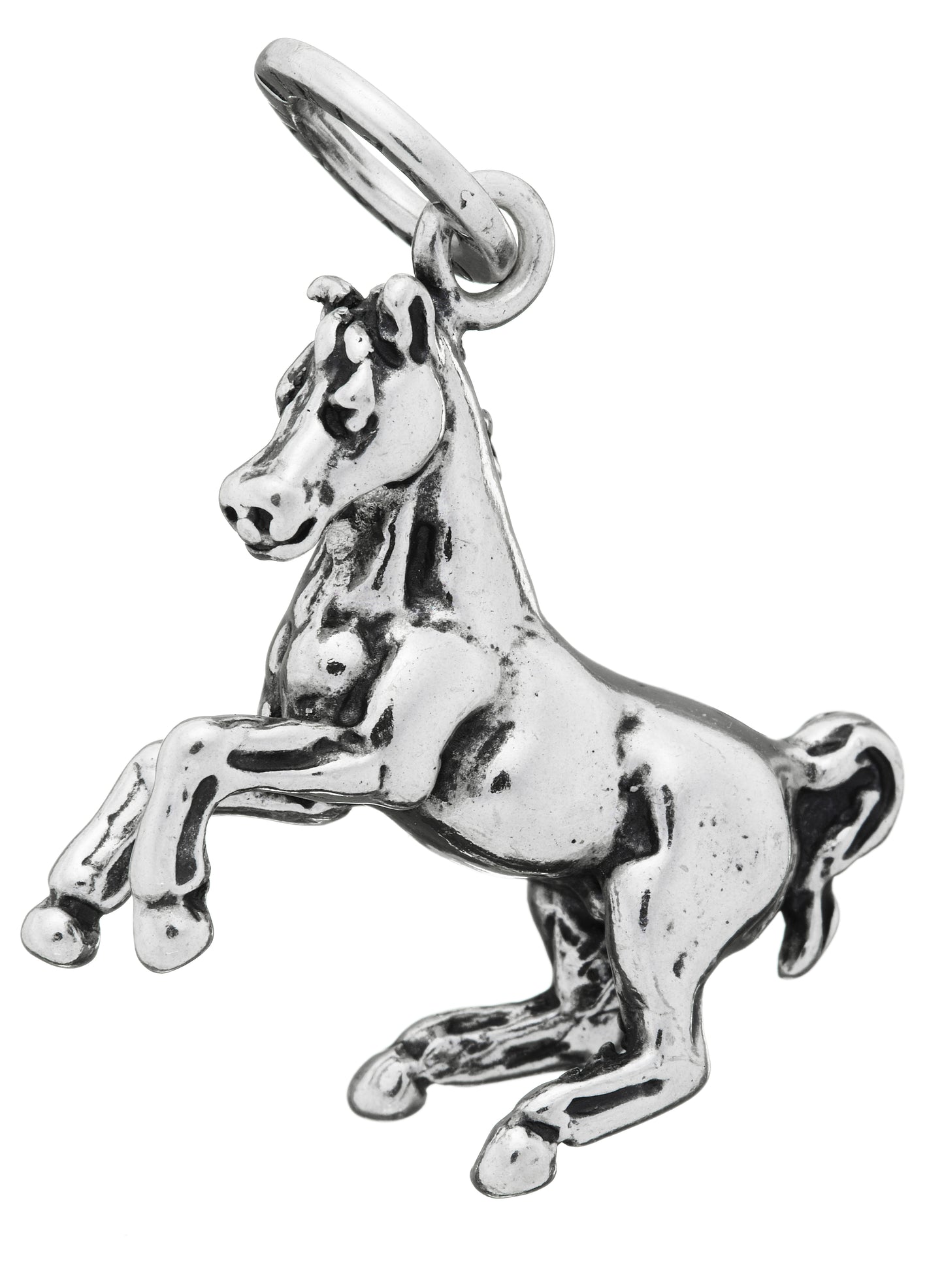 CHARM CAVALLO