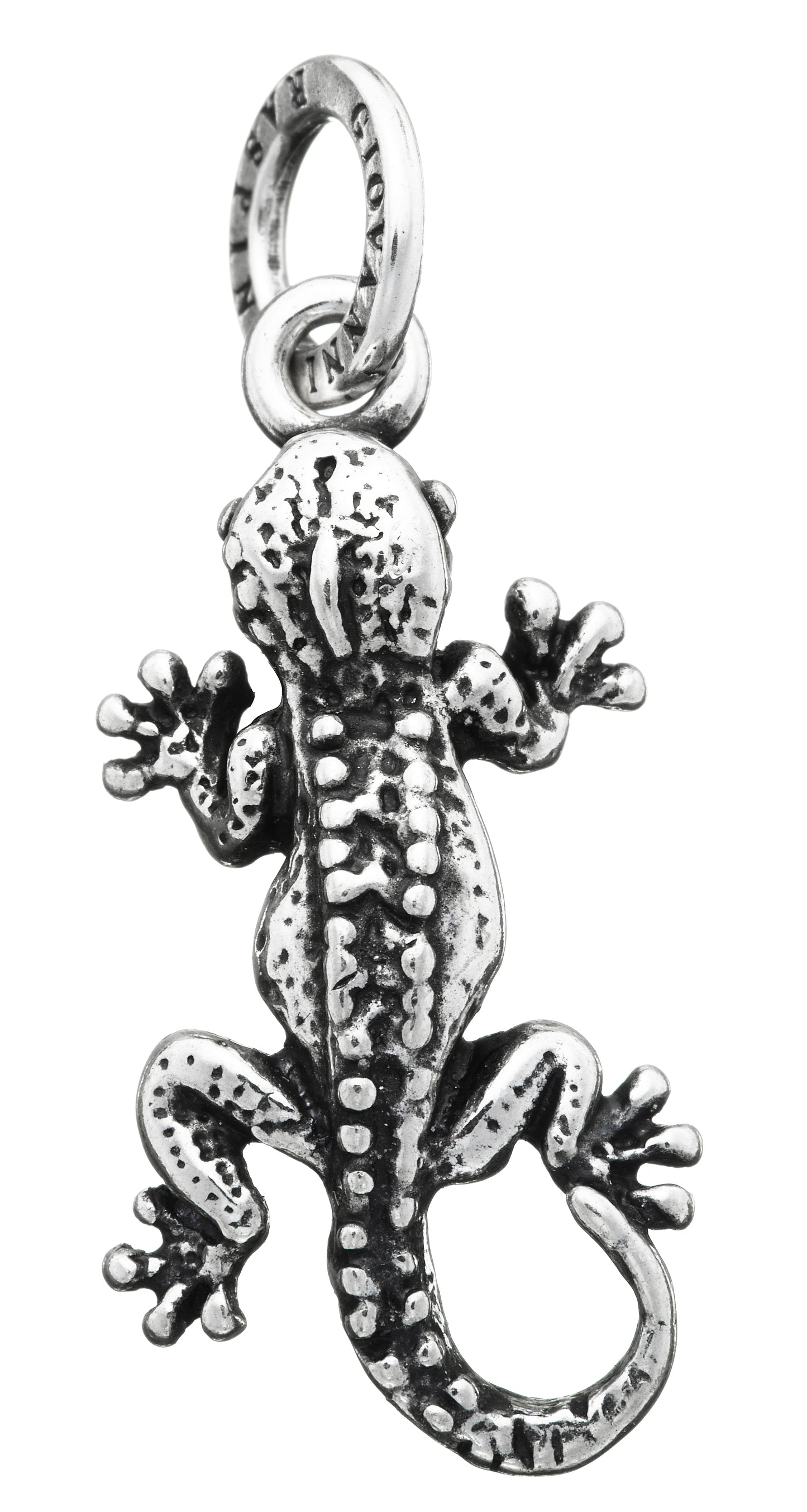 CHARM GECO