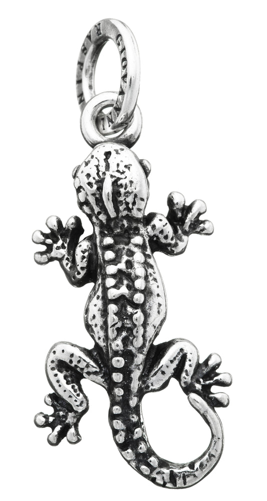 CHARM GECO
