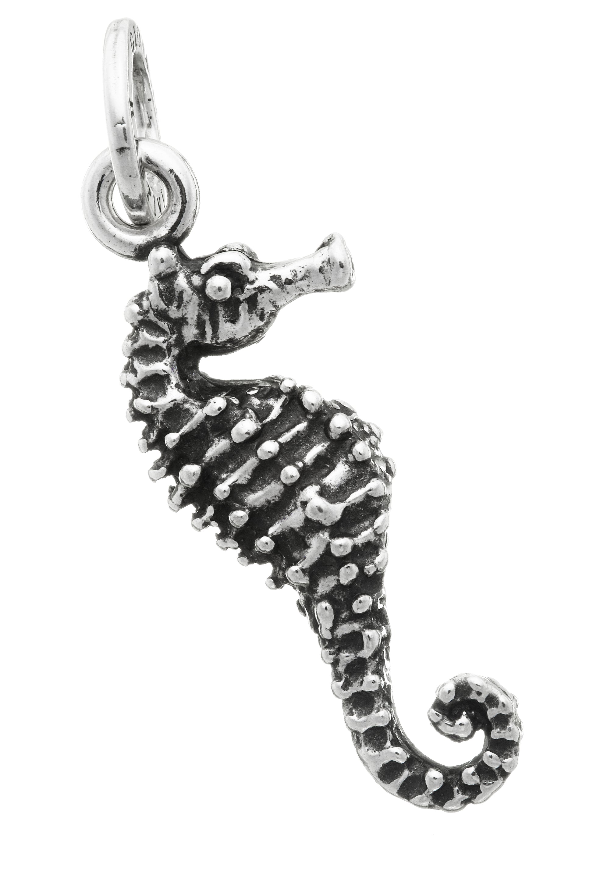 CHARM CAVALLUCCIO MARINO