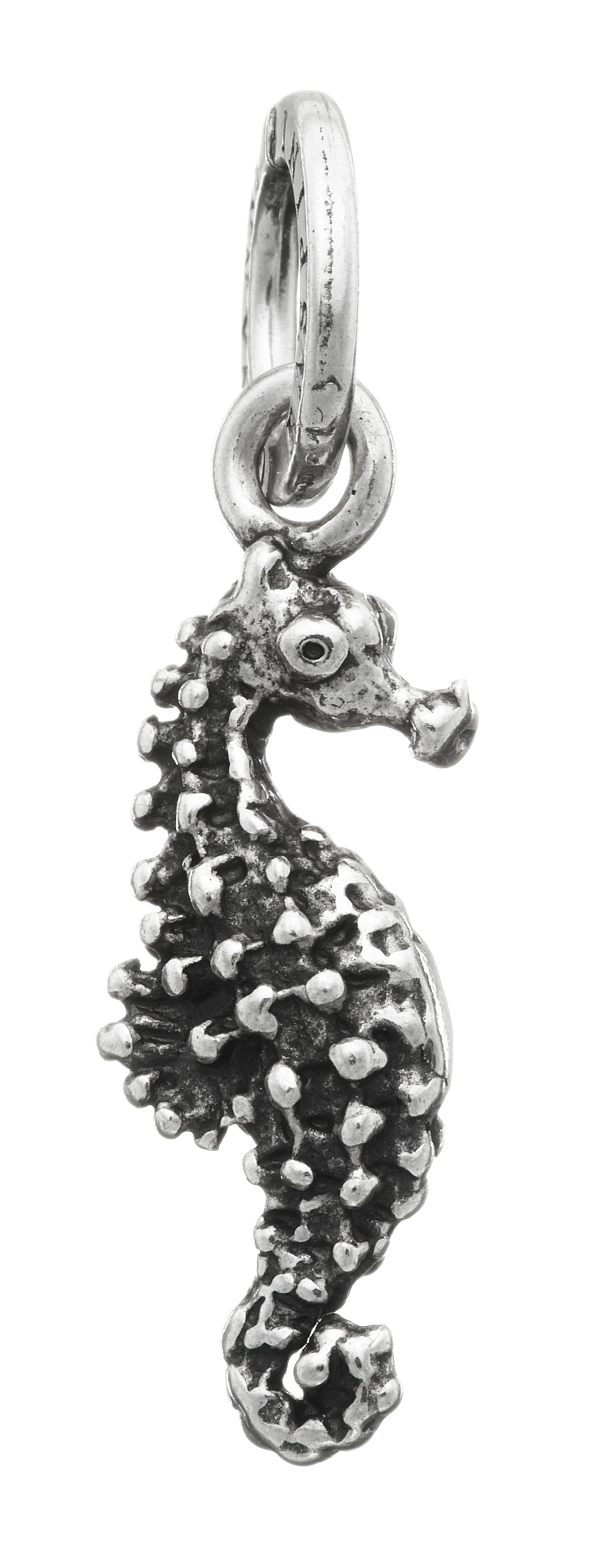 CHARM CAVALLUCCIO MARINO