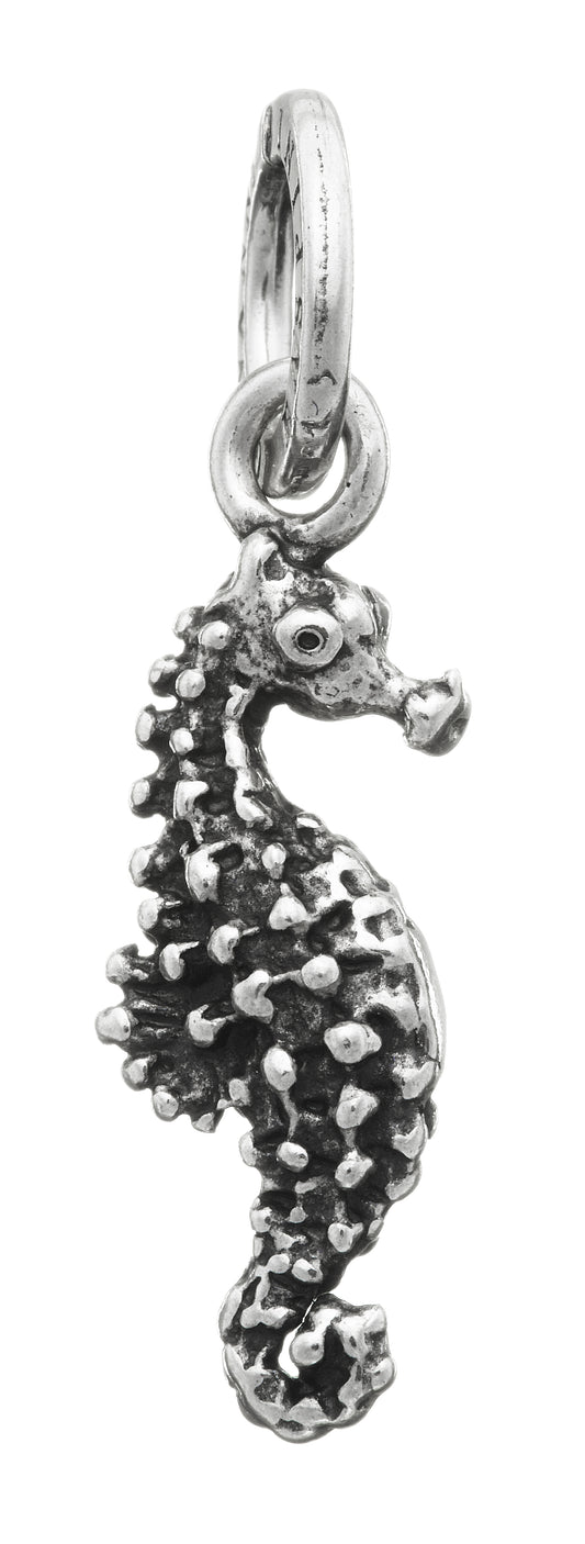 CHARM CAVALLUCCIO MARINO