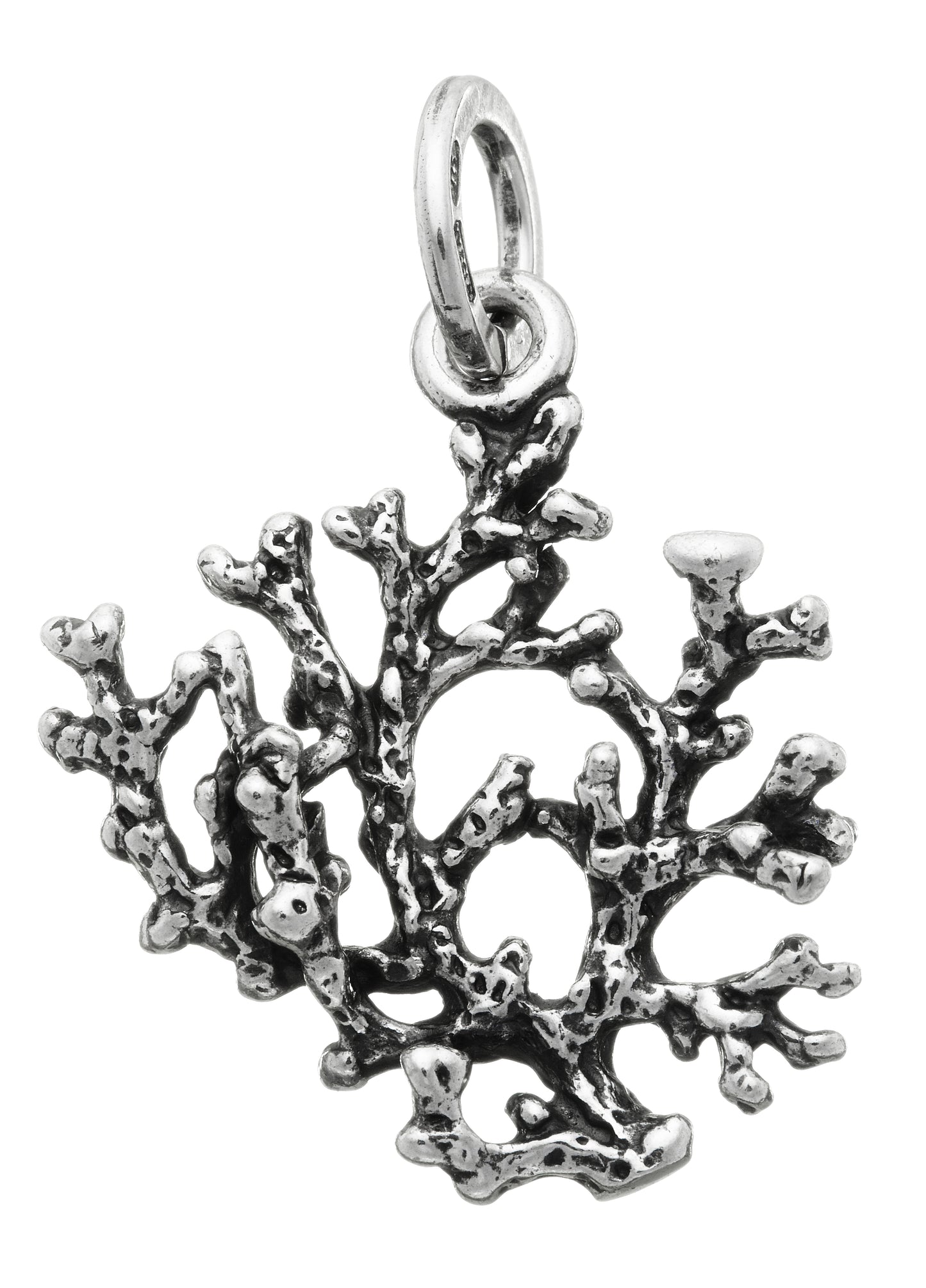 CHARM CORALLO
