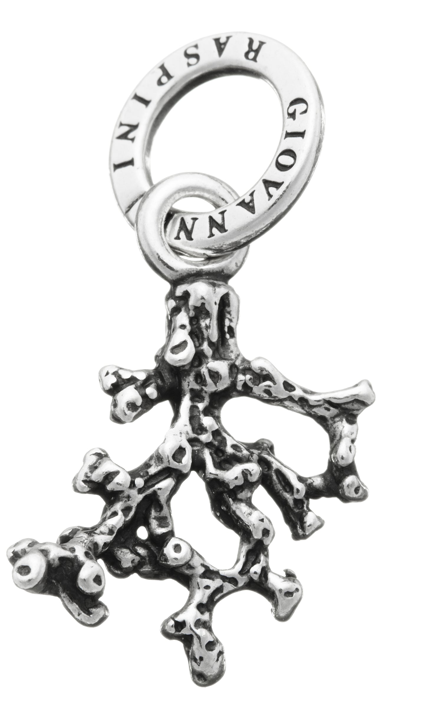 CHARM CORALLINO