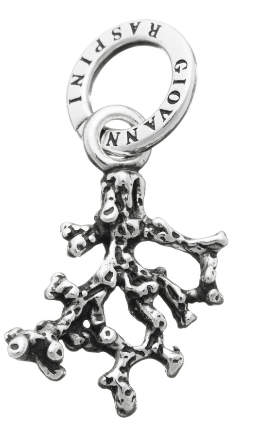 CHARM CORALLINO