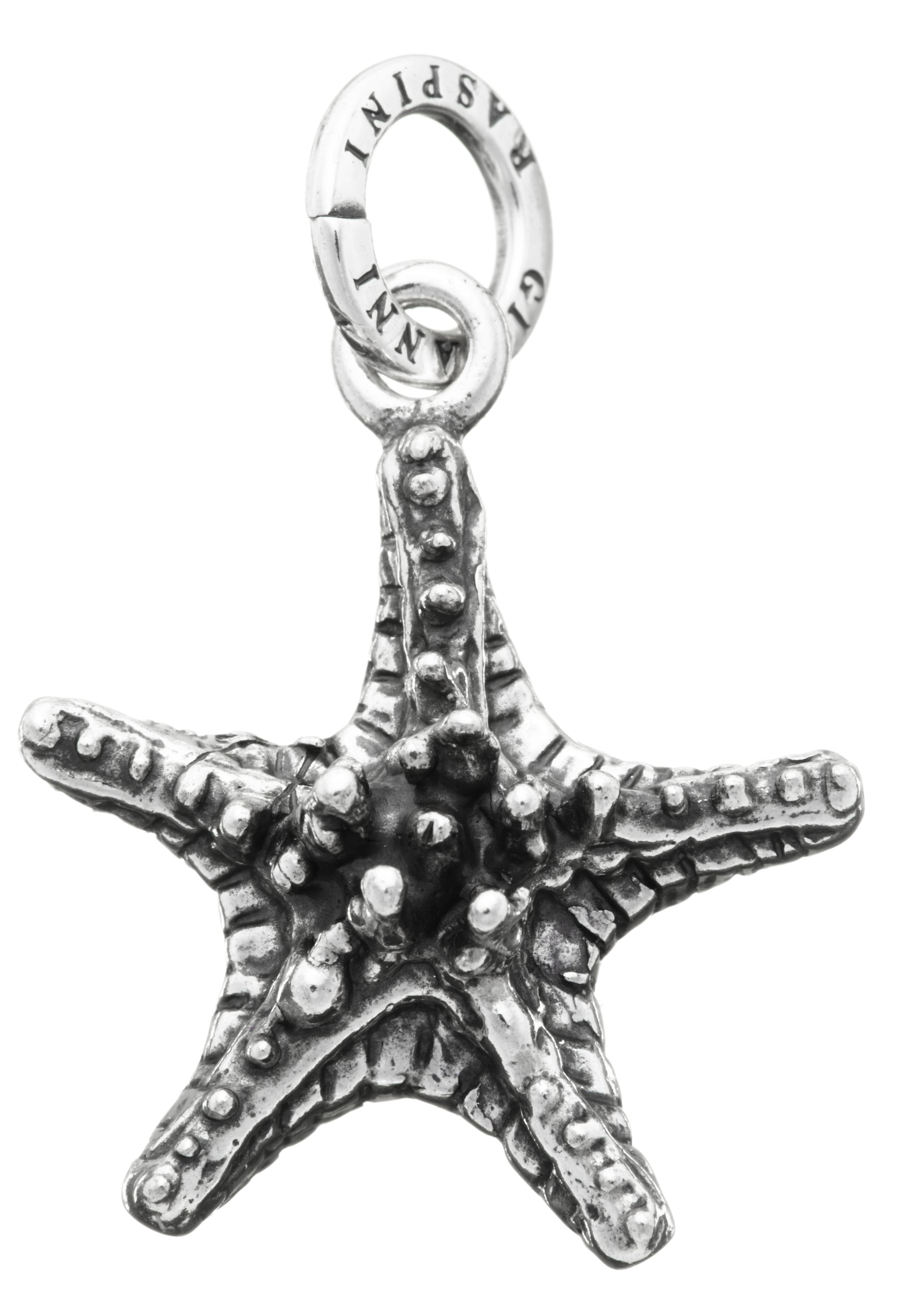 CHARM STELLA GRASSA
