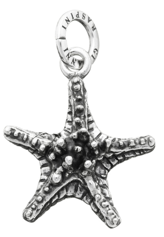 CHARM STELLA GRASSA