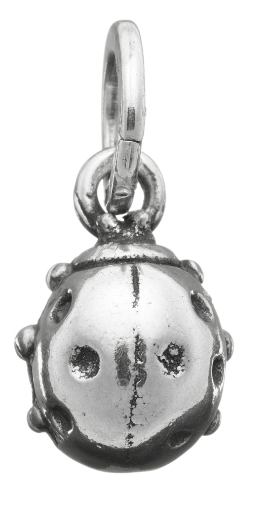 CHARM COCCINELLA