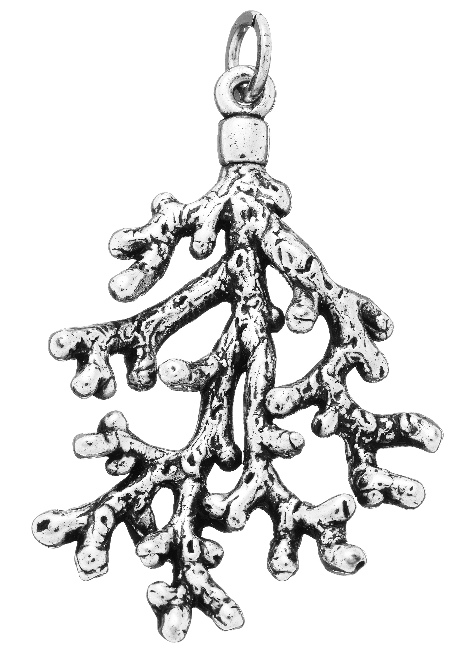 CHARM CORALLO