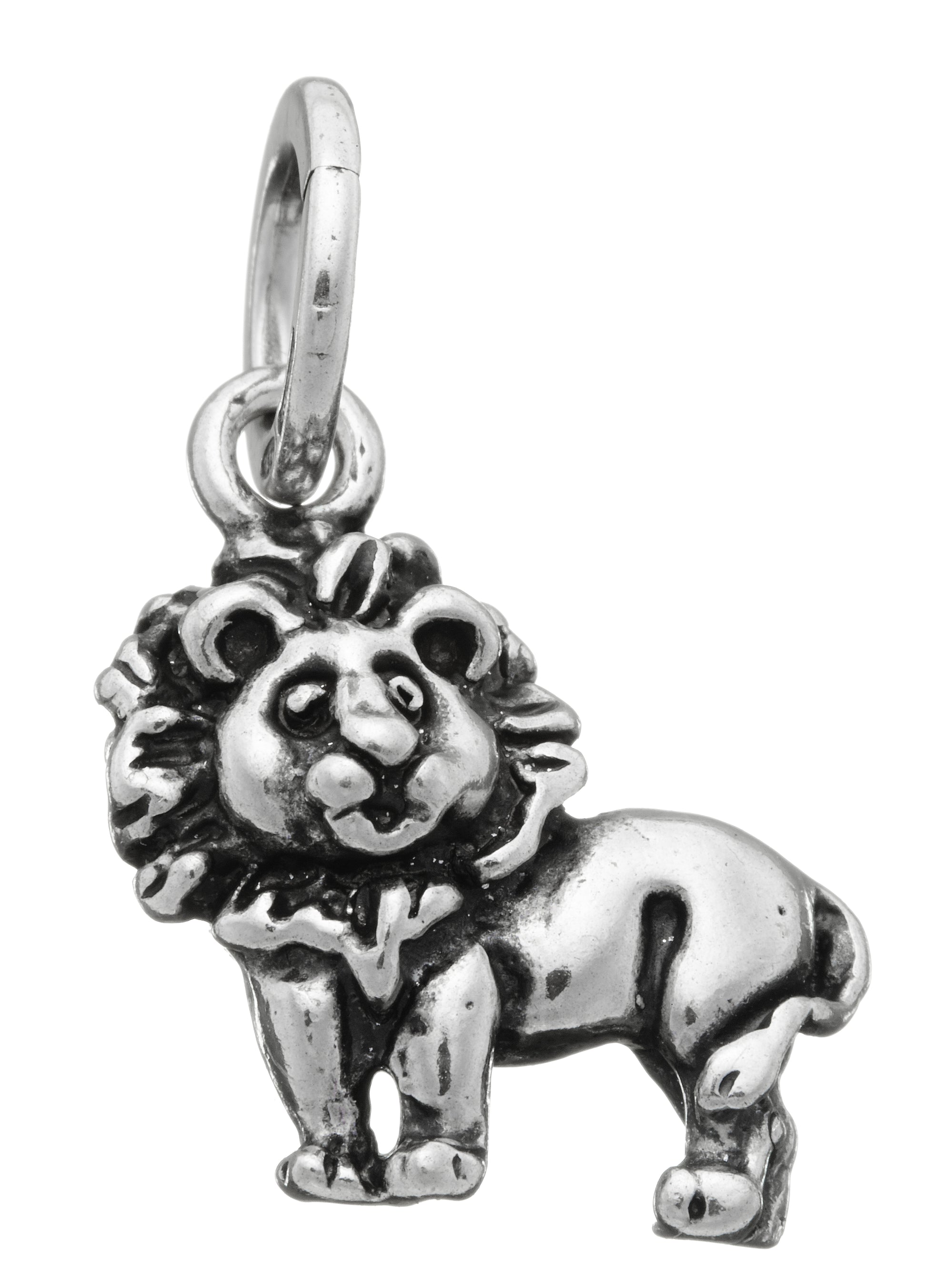 CHARM LEONCINO