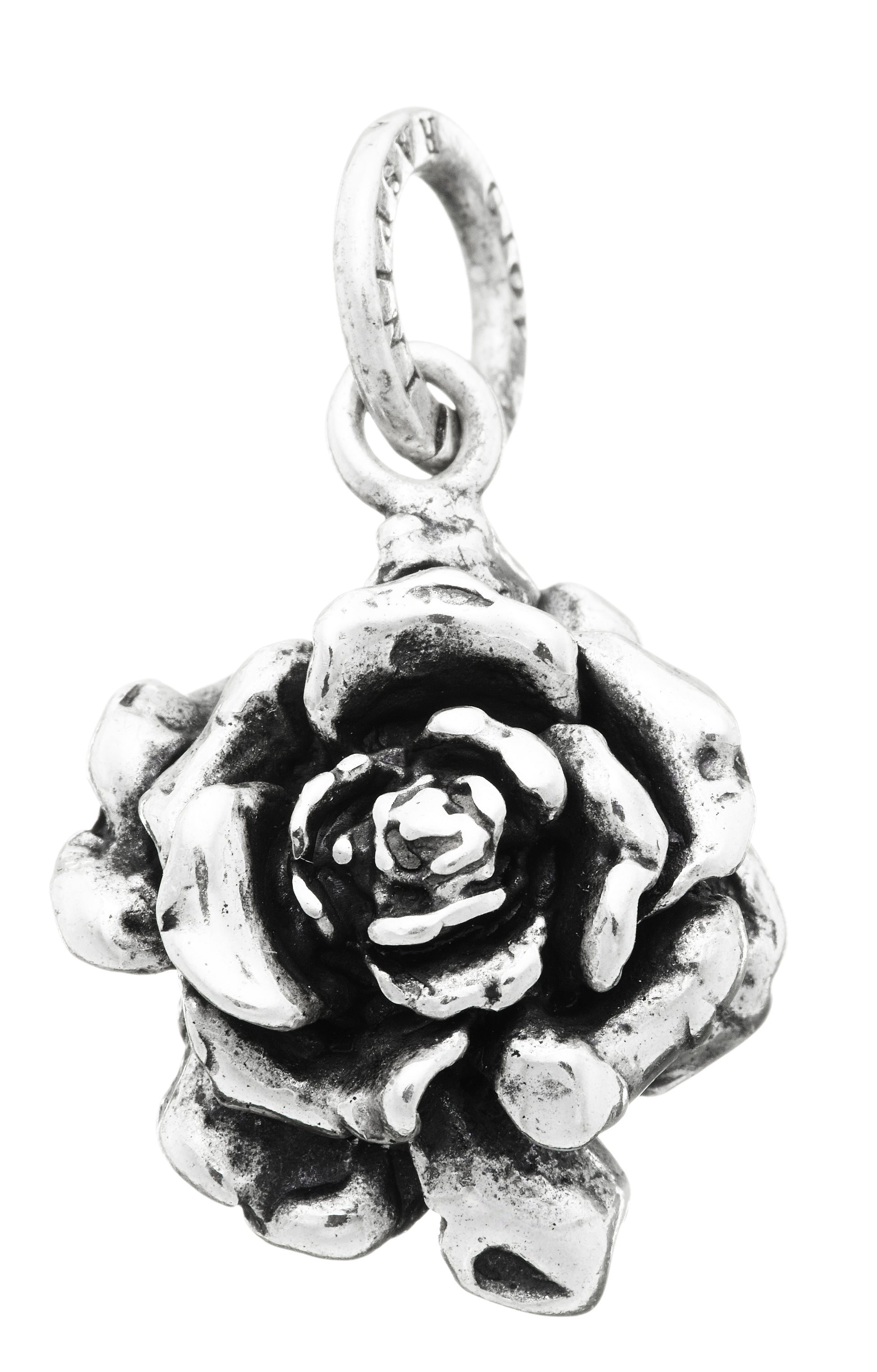 CHARM ROSA