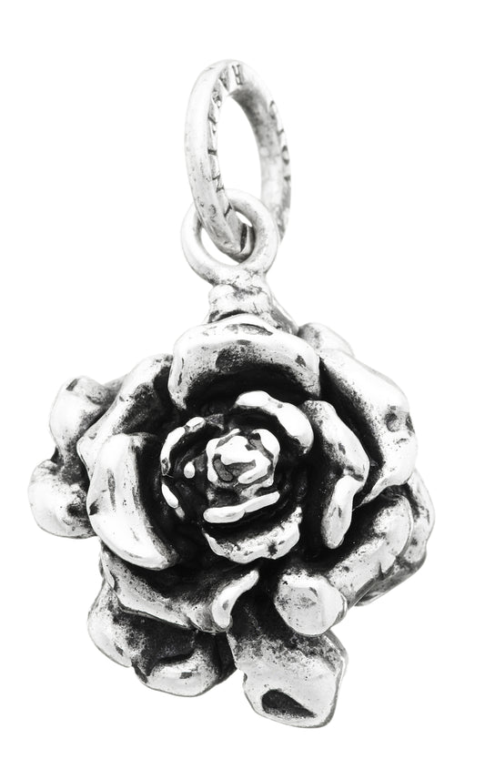 CHARM ROSA