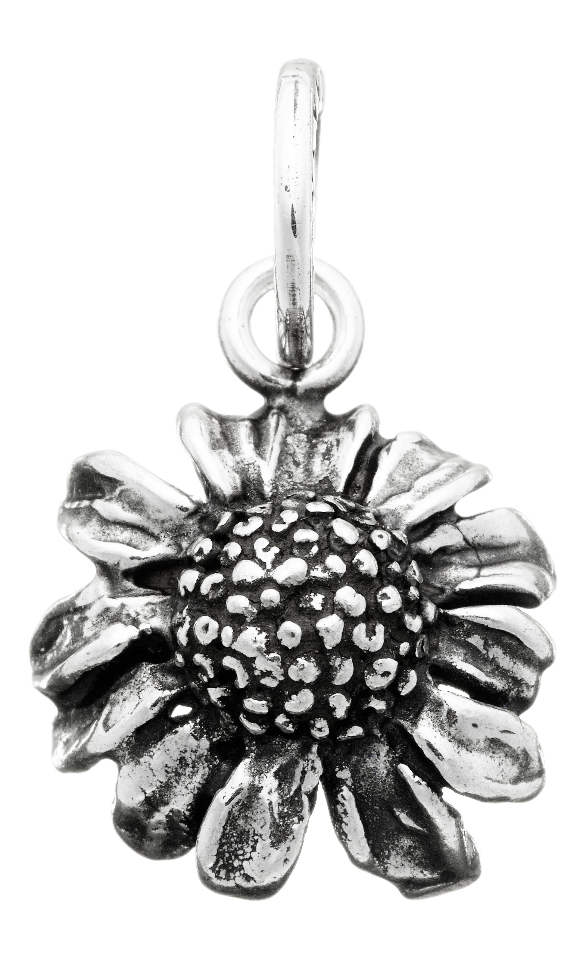 CHARM CAMOMILLA