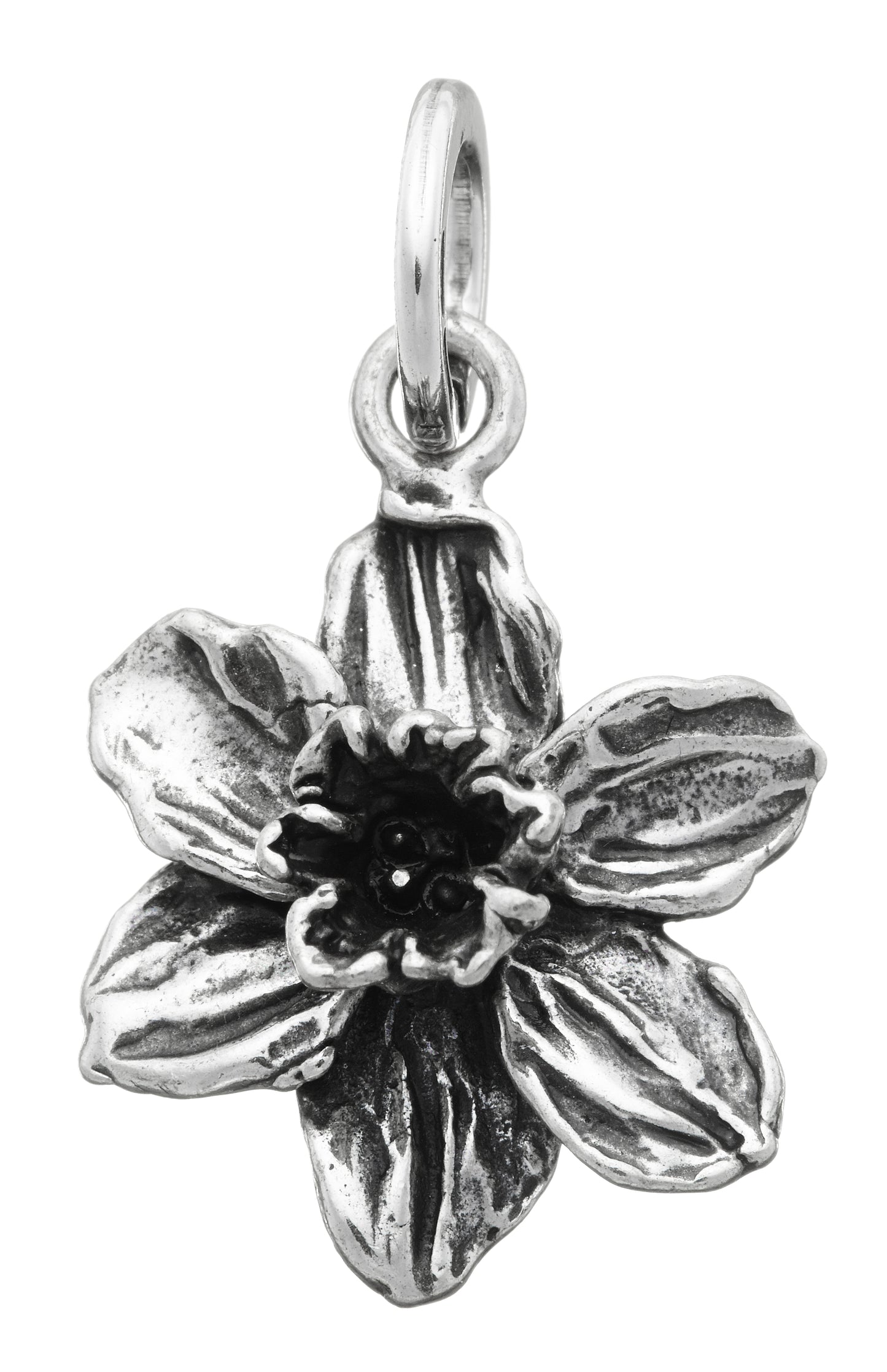 CHARM NARCISO