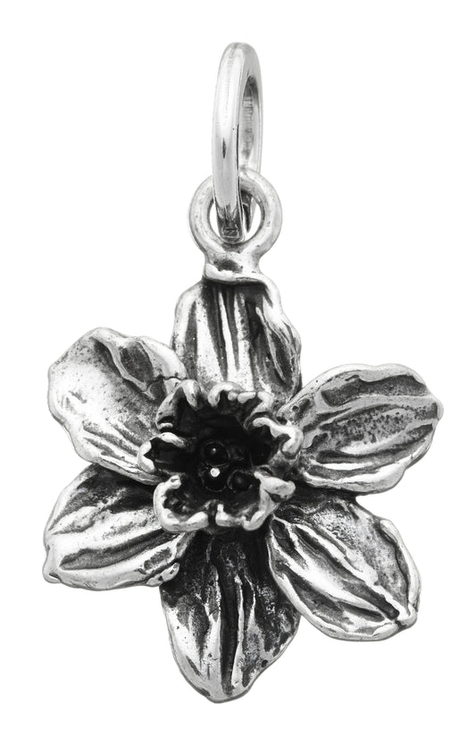 CHARM NARCISO