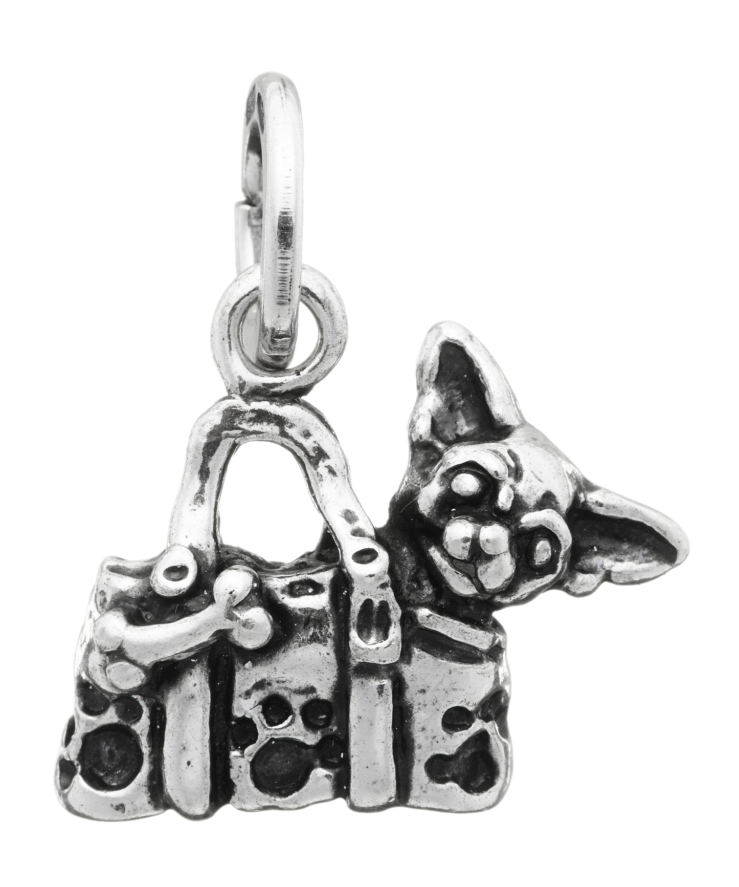 CHARM CANE IN BORSA