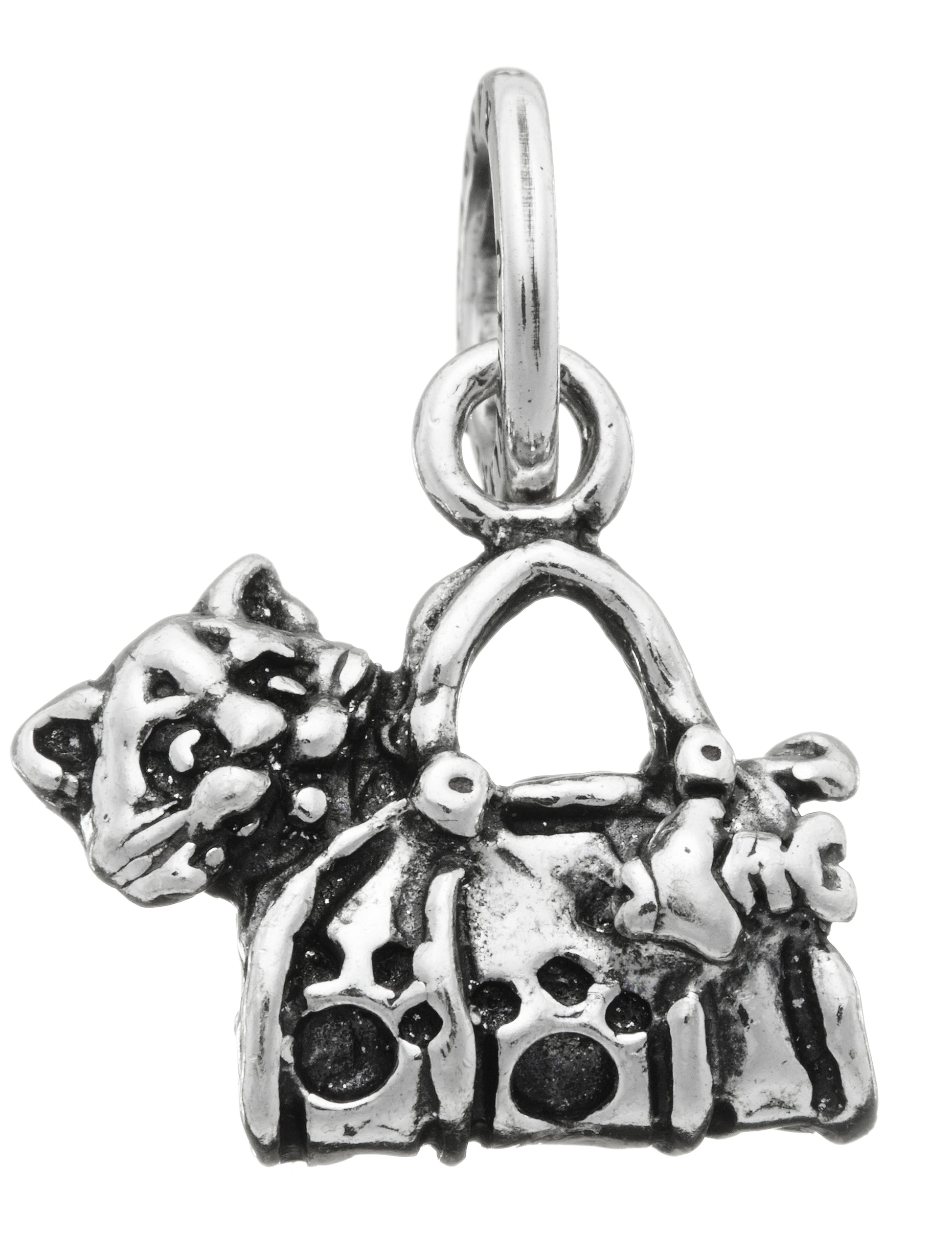 CHARM GATTO IN BORSA