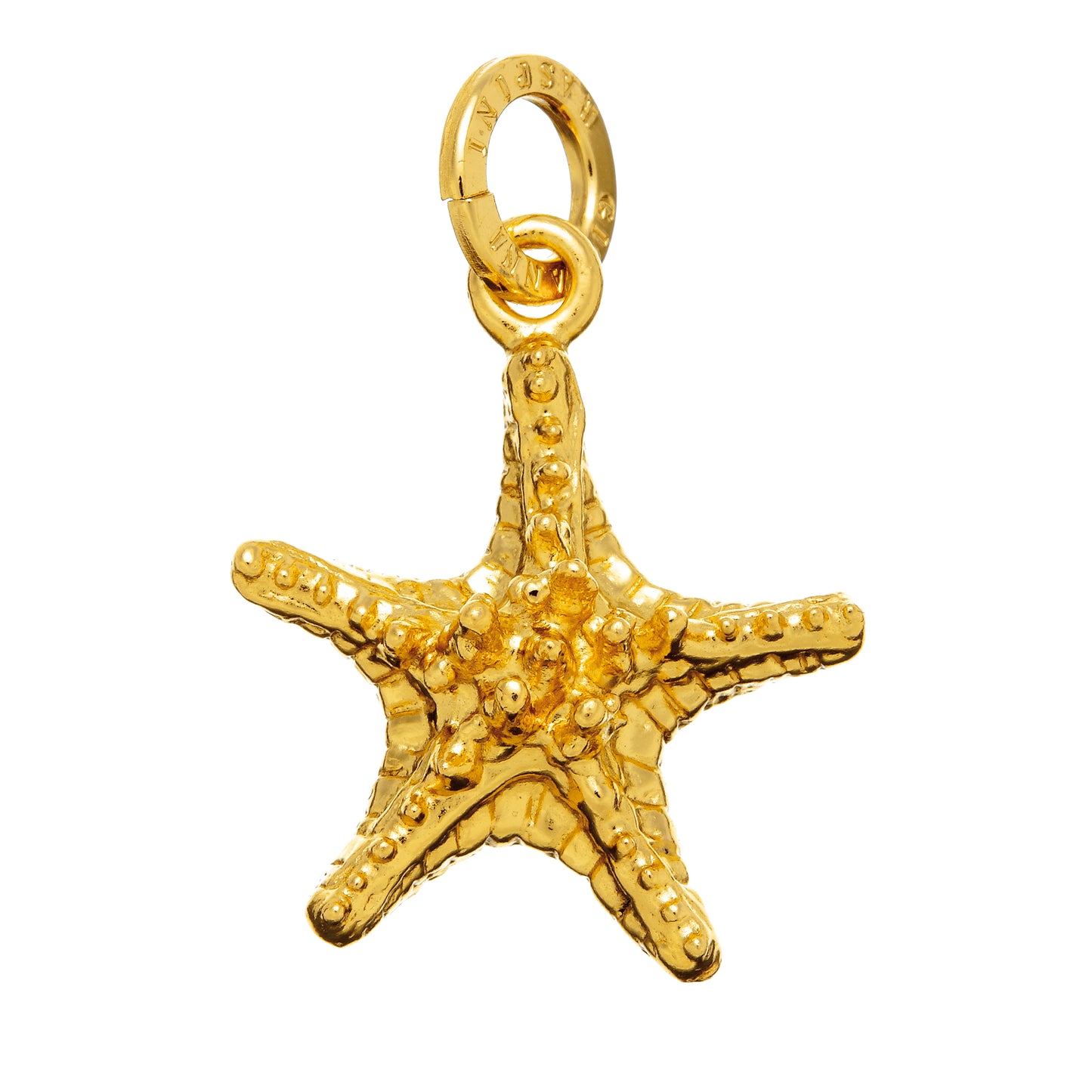 CHARM STELLA GRASSA DORATA