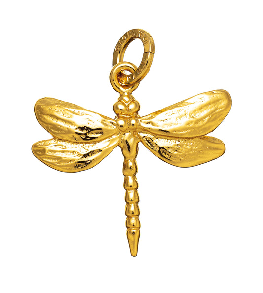 CHARM LIBELLULA DORATA