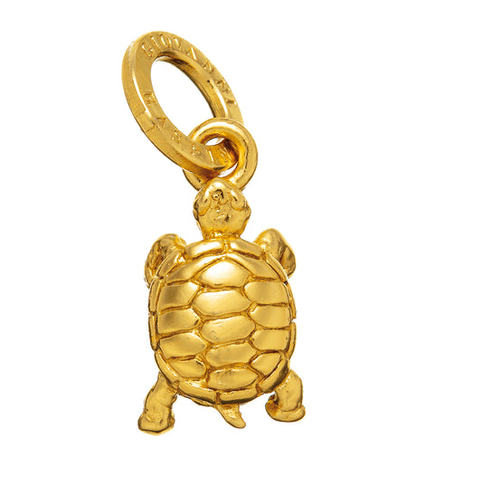 CHARM TARTARUGA DORATA