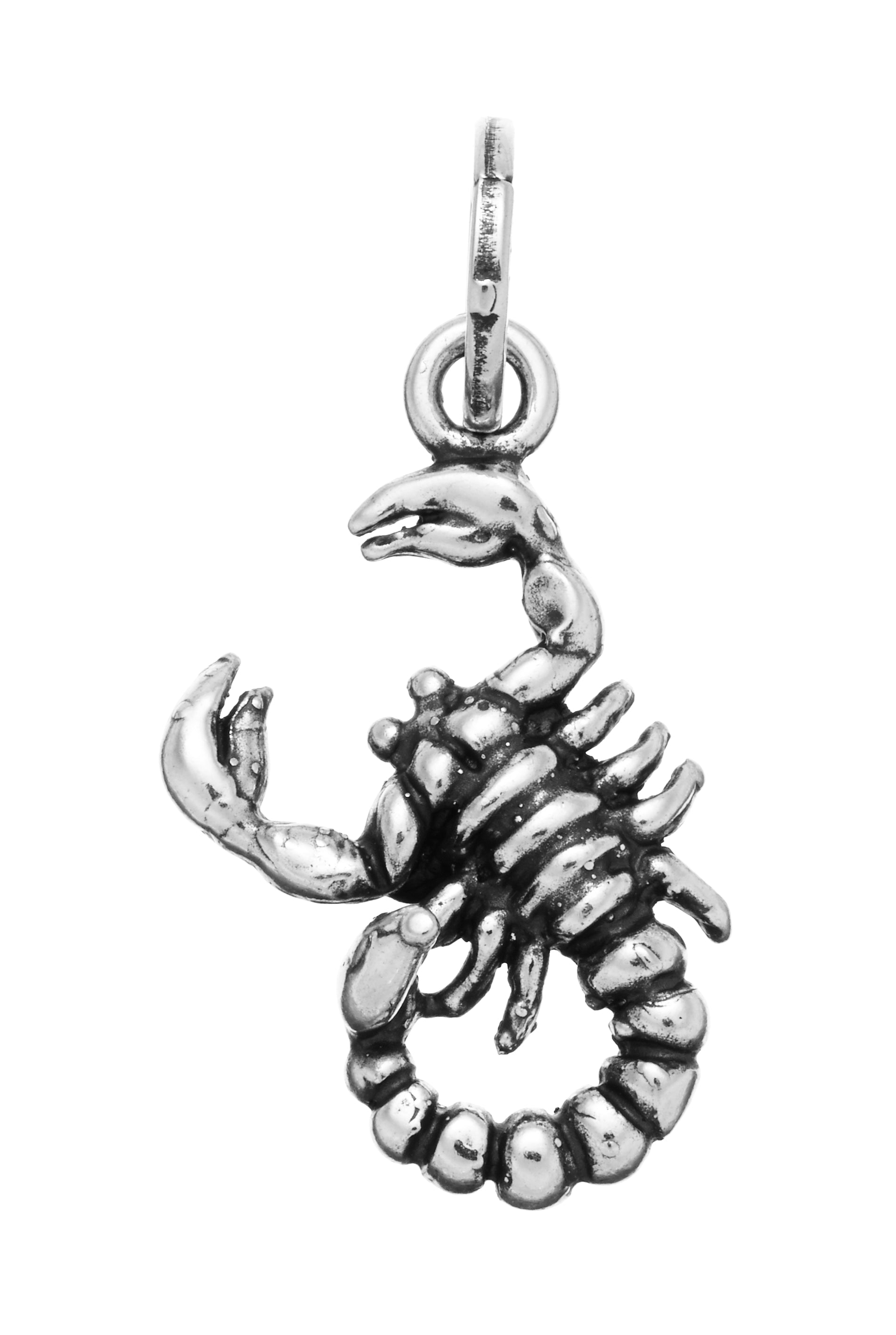 CHARM SCORPIONE