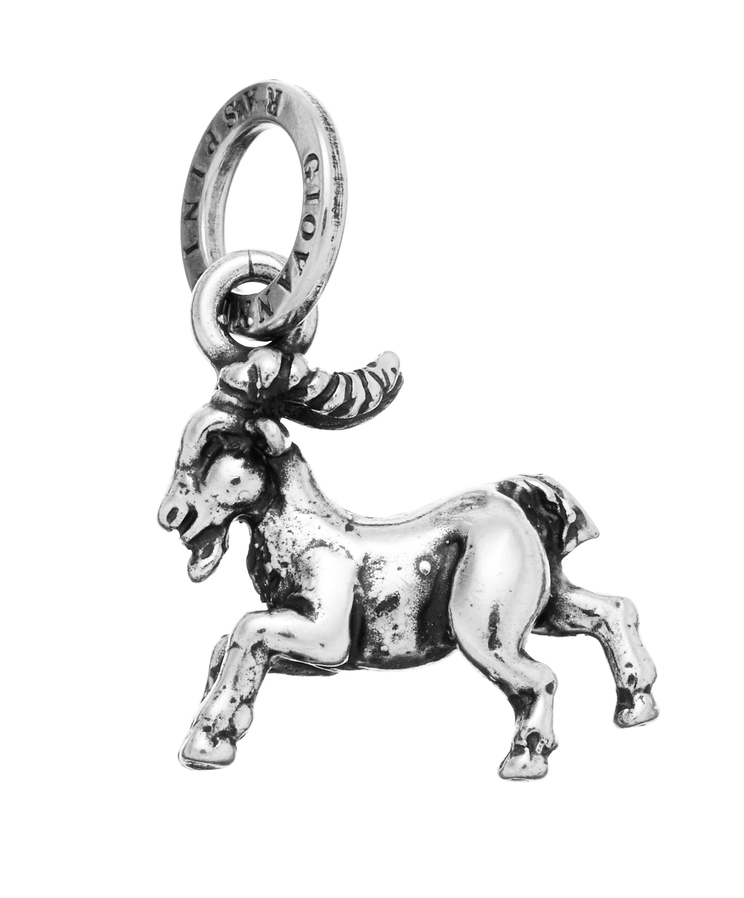 CHARM CAPRICORNO