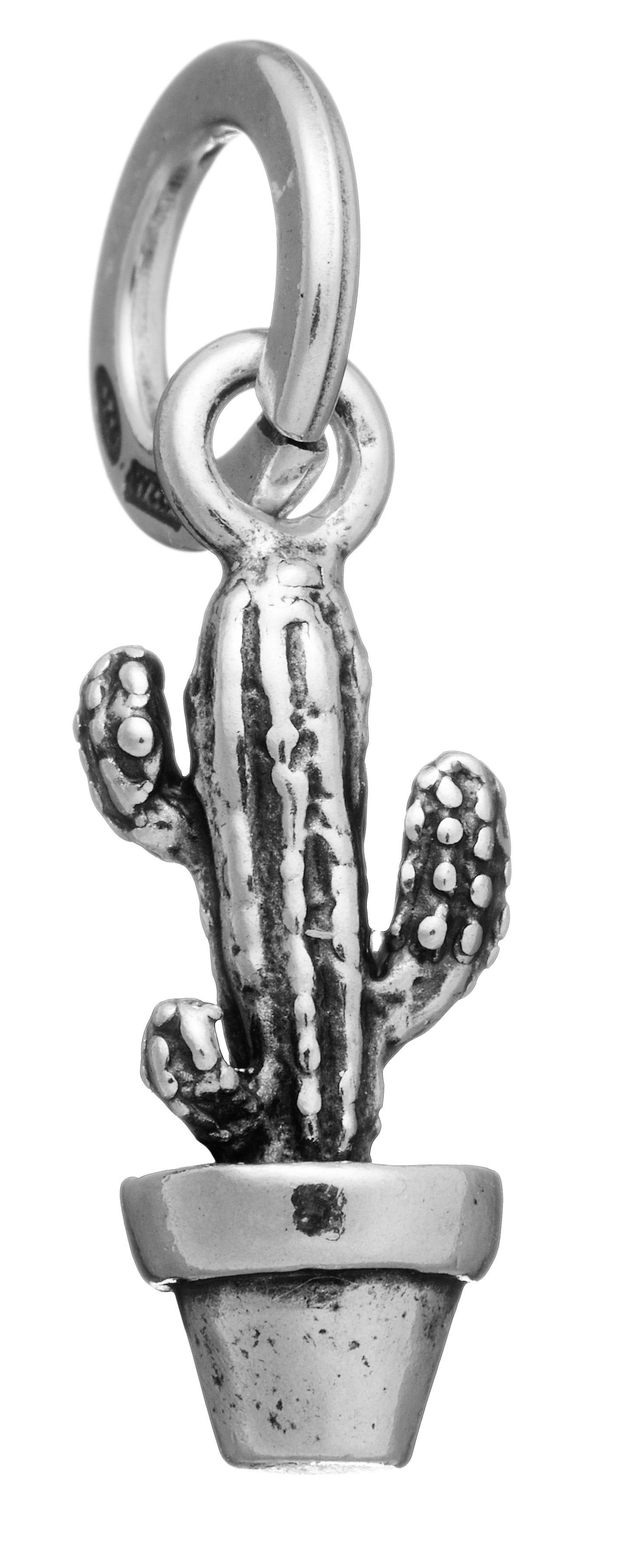 CHARM CACTUS