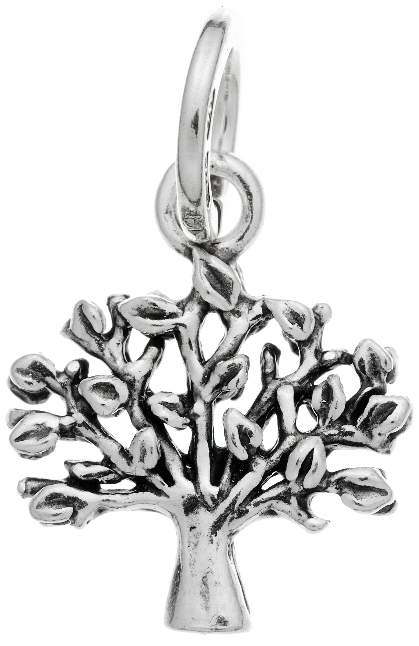 CHARM ALBERO DELLA VITA
