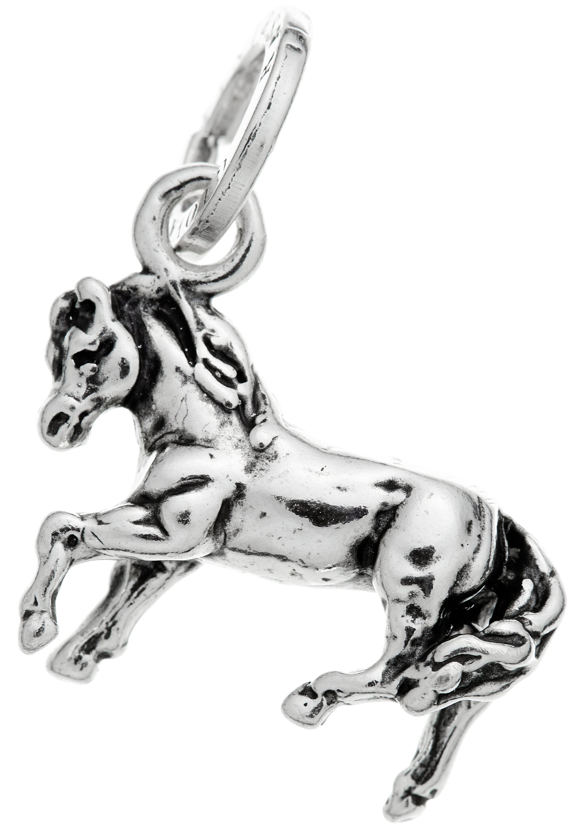 CHARM CAVALLO