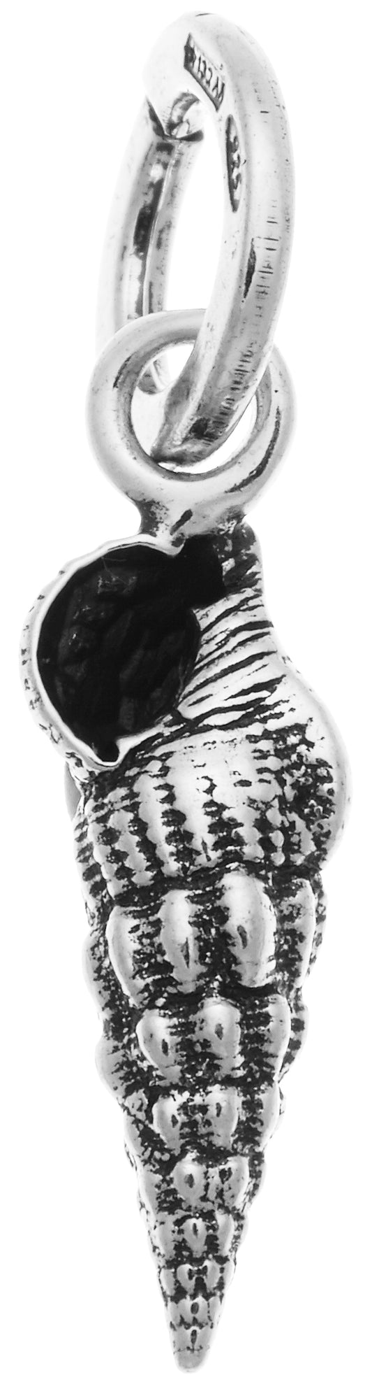CHARM CONCHIGLIA TURRITELLA