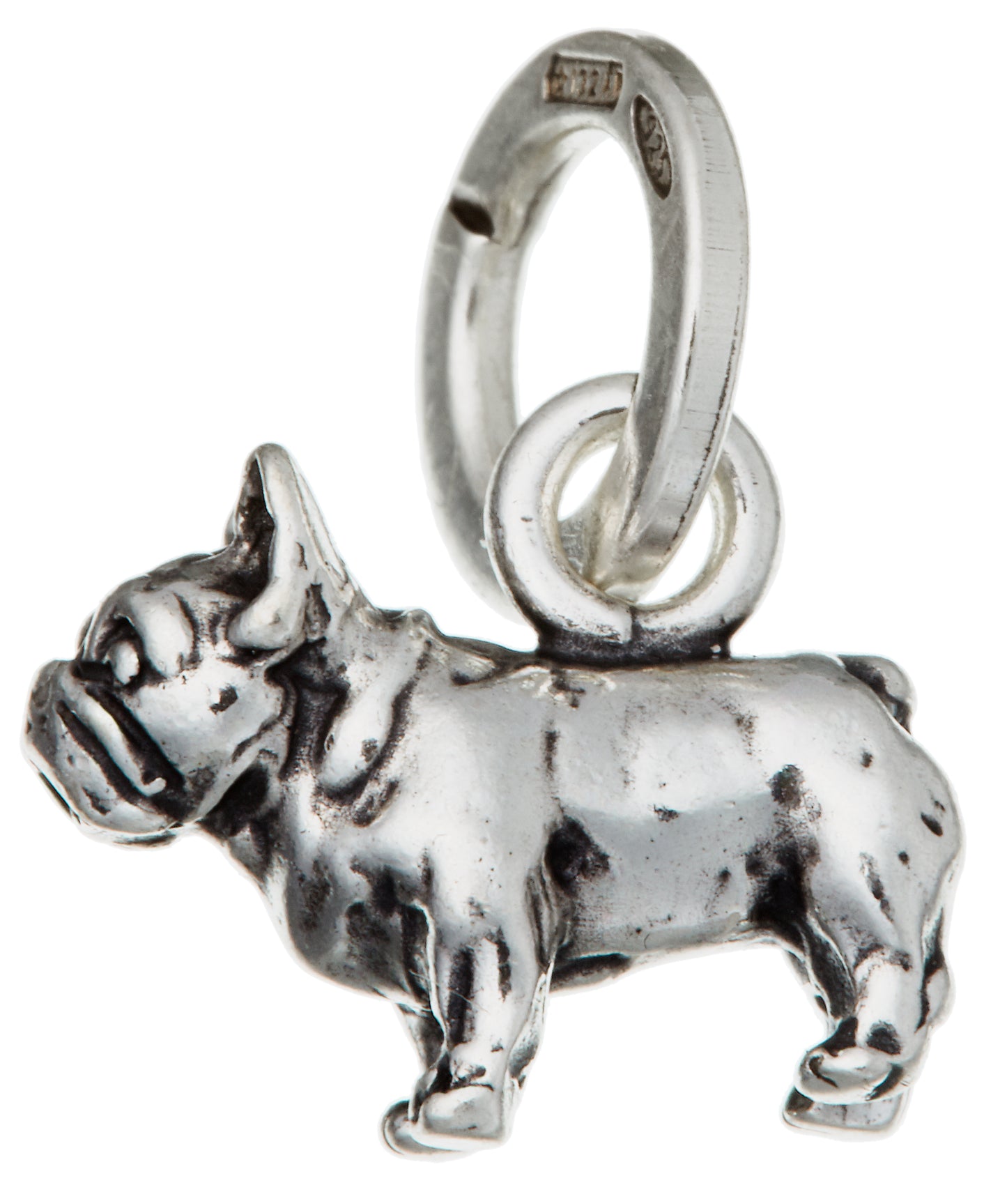 CHARM BULLDOG FRANCESE