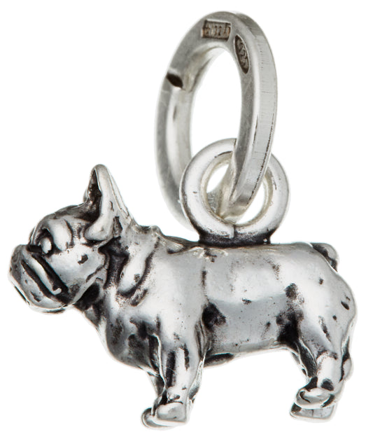 CHARM BULLDOG FRANCESE