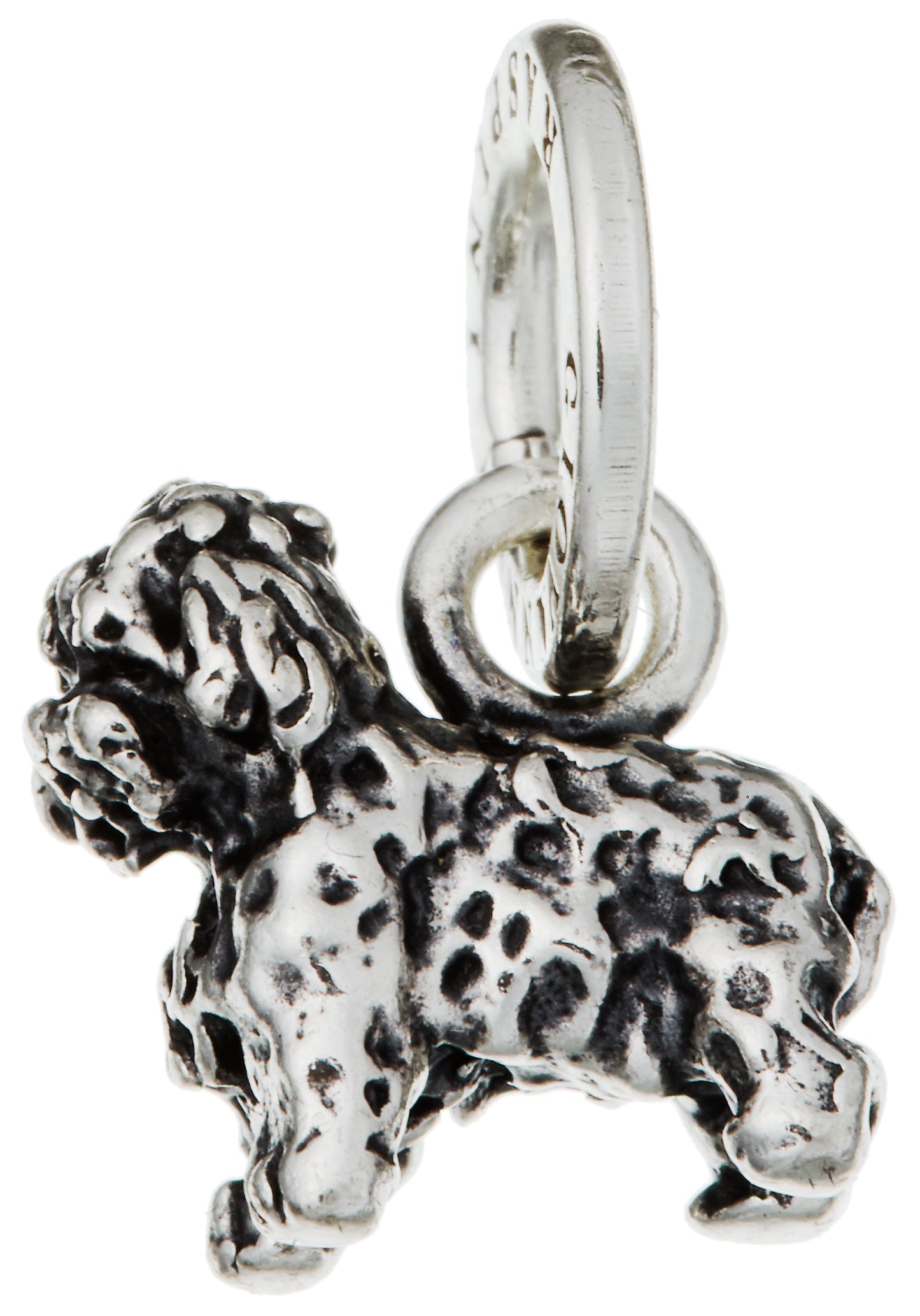 CHARM BARBONCINO