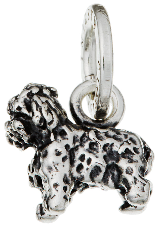 CHARM BARBONCINO