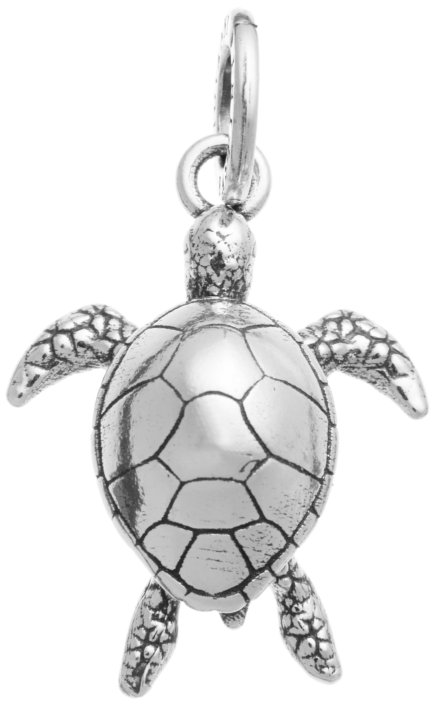 CHARM TARTARUGA MARINA